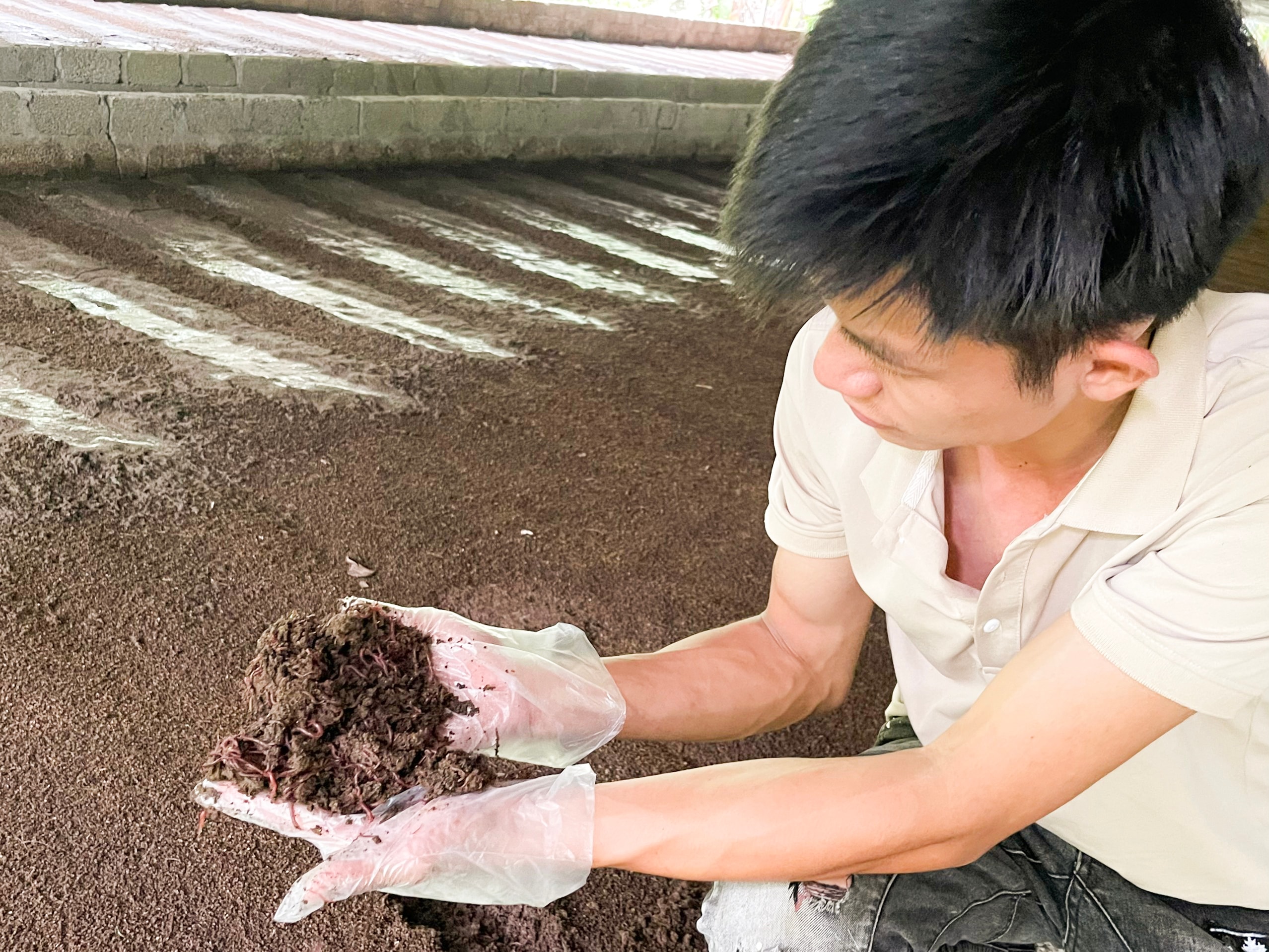 Anh Dương Văn Tú và mô hình nuôi giun quế quy mô. Ảnh: Thanh Phúc