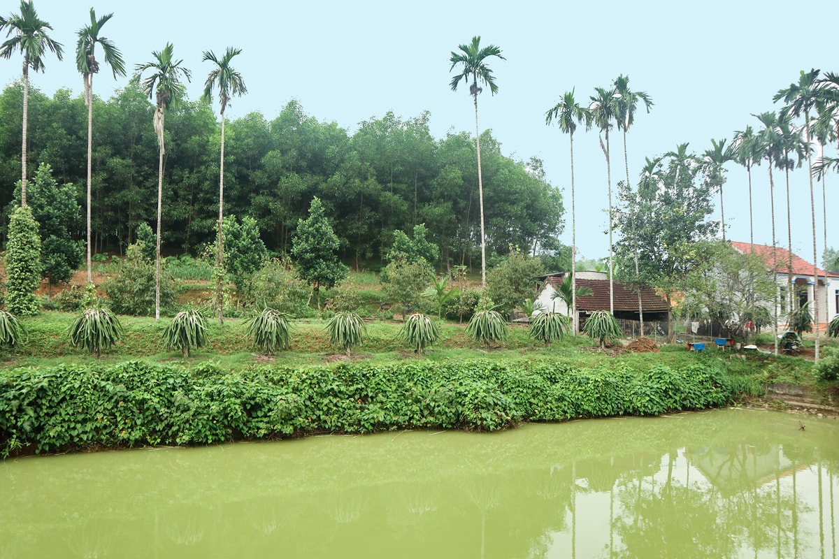 Mô hình kinh tế VAC là tiền đề để phát triển kinh tế tuần hoàn. Ảnh: Thanh Phúc