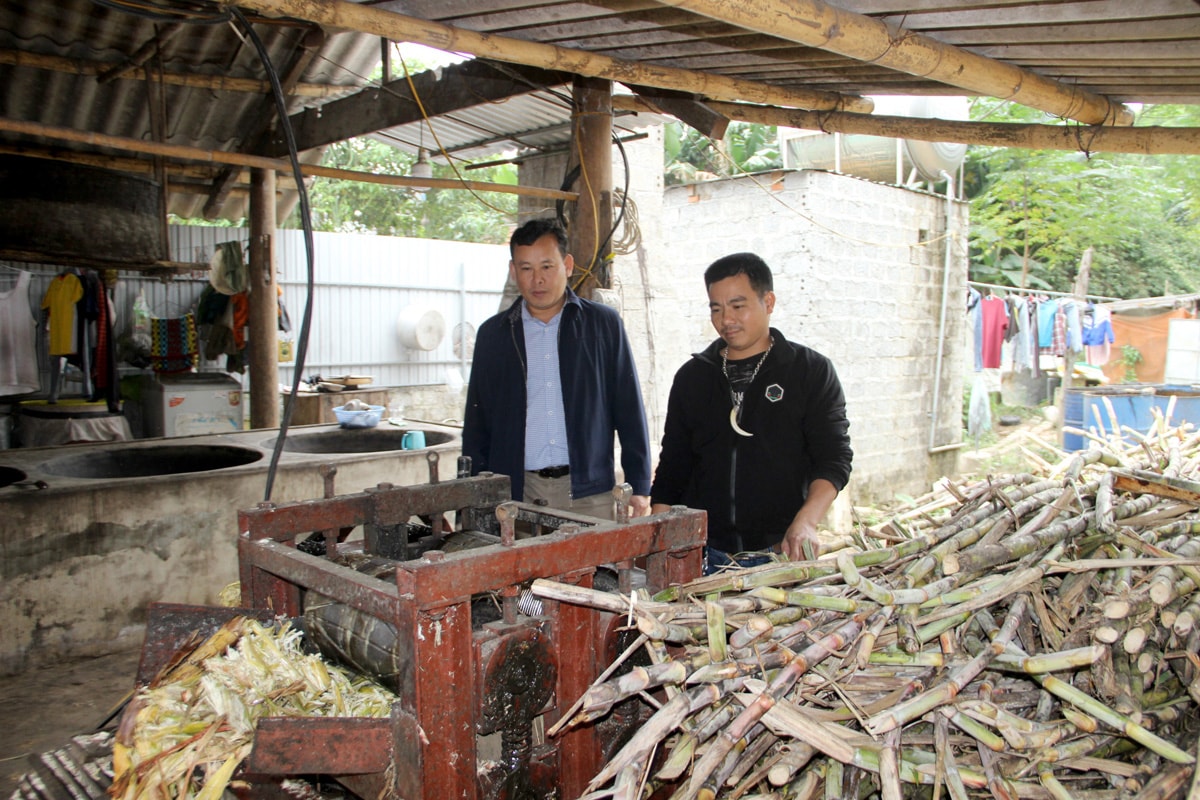 Rỉ mật là phụ phẩm trong quá trình sản xuất mật mía được sử dụng làm thức ăn chăn nuôi. Ảnh: Q.A