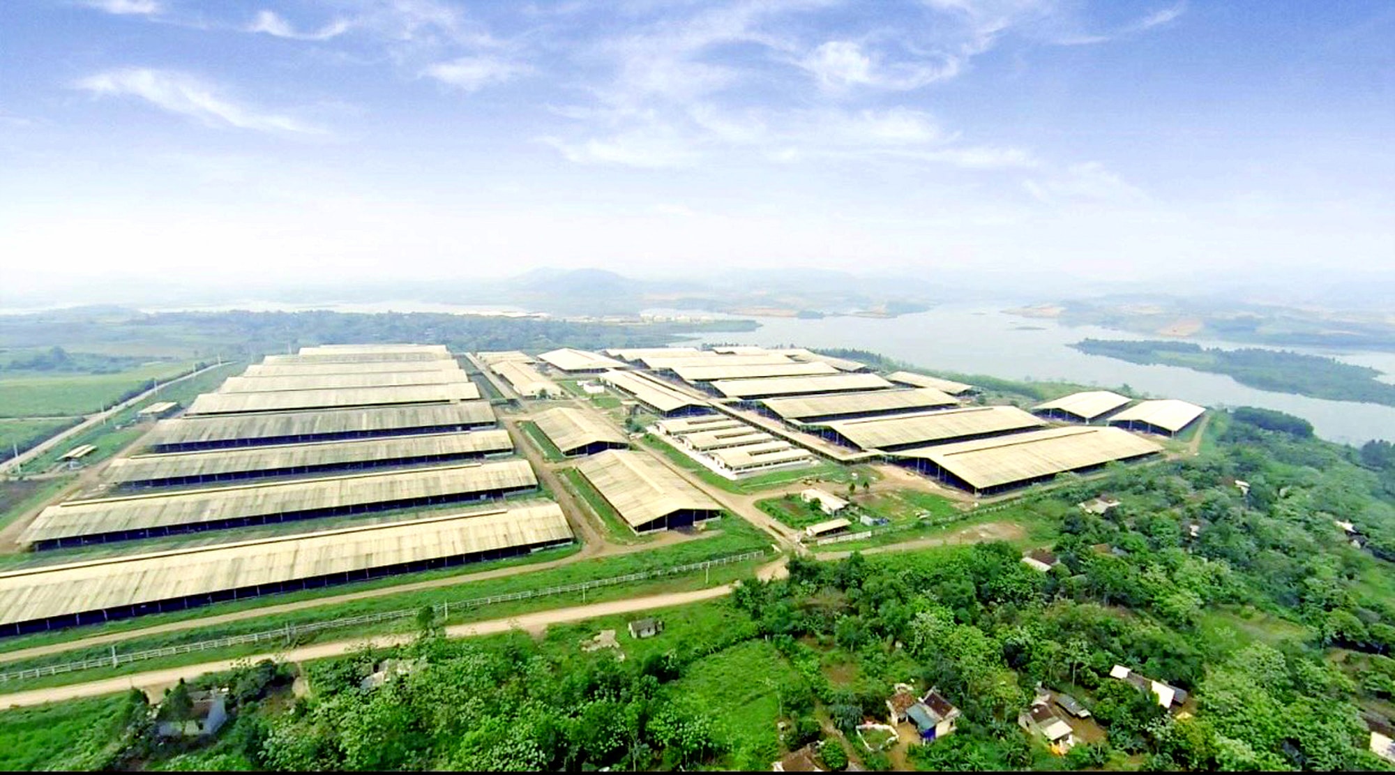 Nông nghiệp tuần hoàn ở Tập đoàn TH (Nghĩa Đàn, Nghệ An). Ảnh: P.V