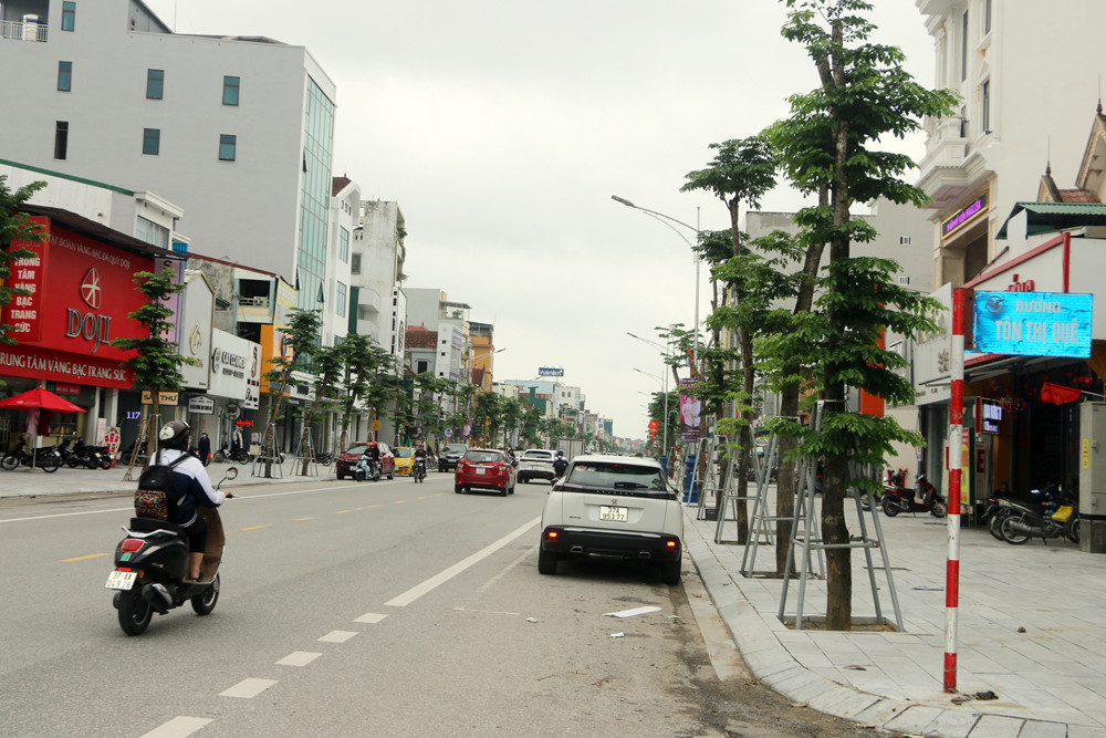 bna_ Màu xanh của cây giáng hương và nét hiện đại đã dẫn hình thành trên tại đường Nguyễn Văn Cừ.jpg
