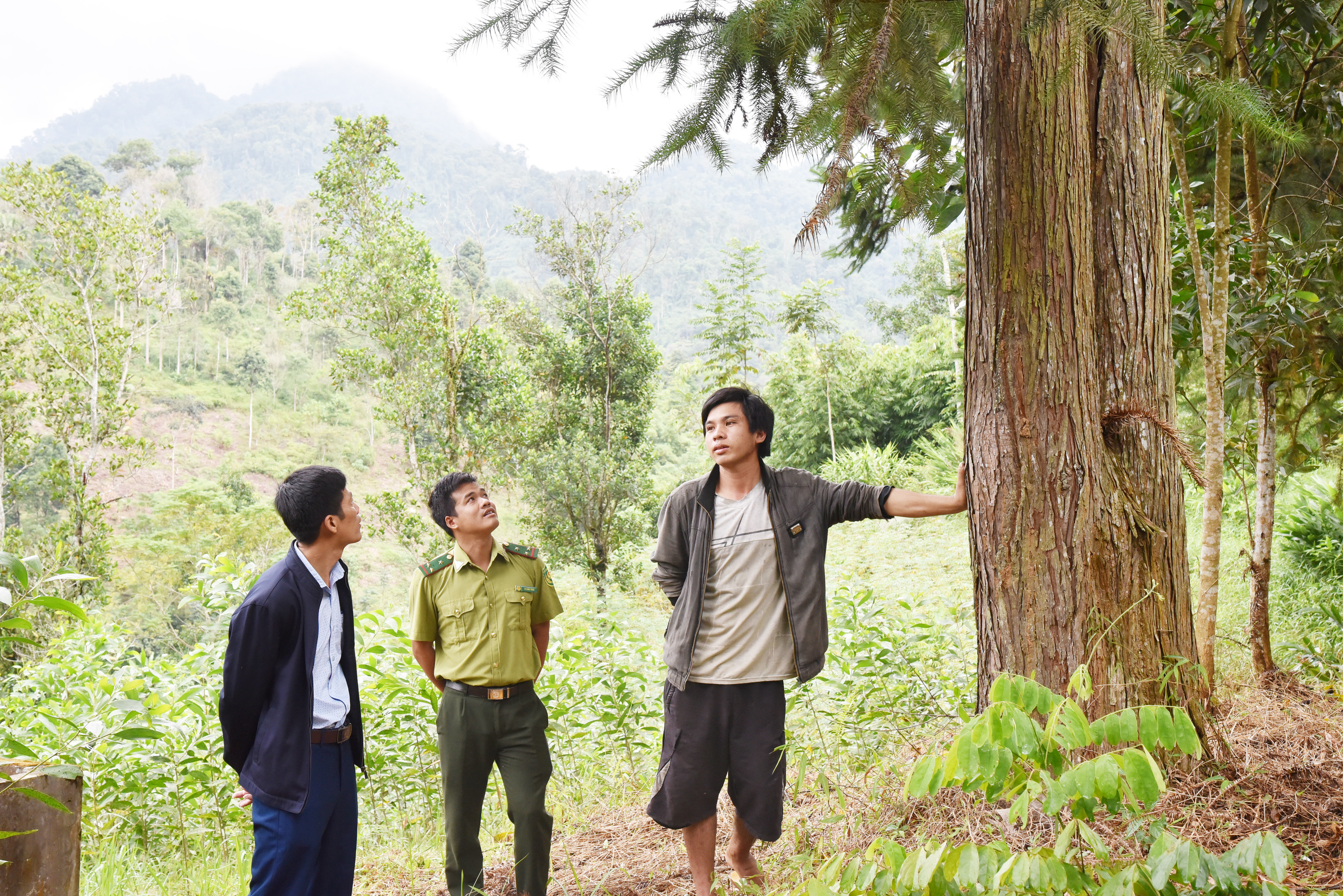 bna_Con trai ông Vi Văn Nhất (ngoài cùng bên phải) tiếp nối nghiệp cha trồng cây gây rừng.JPG