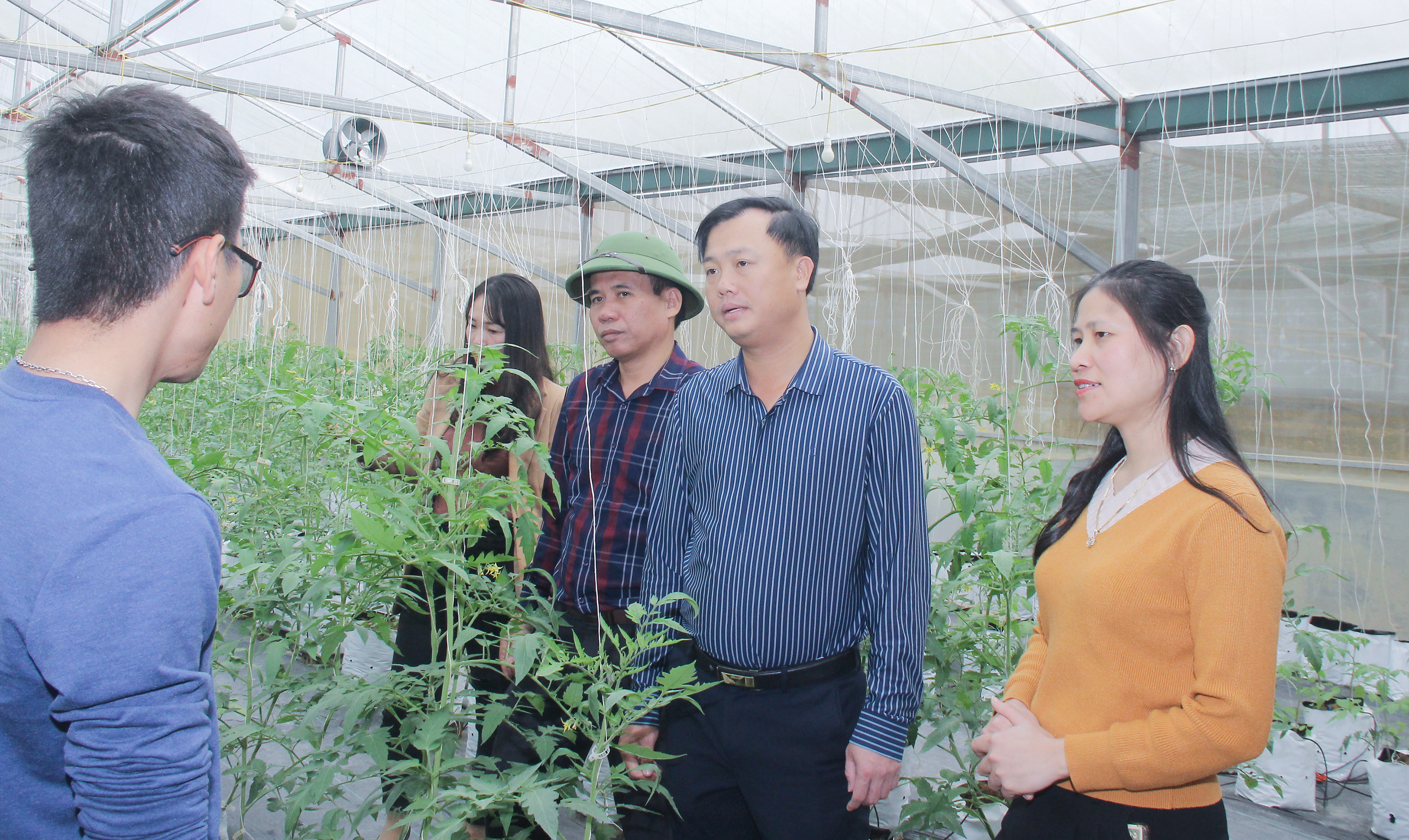 bna_ Lãnh đạo huyện Hưng Nguyên tìm hiểu mô hình sản xuất rau, củ, quả bằng công nghệ cao tại xã Hưng Lĩnh. Ảnh- Mai Hoa.jpg