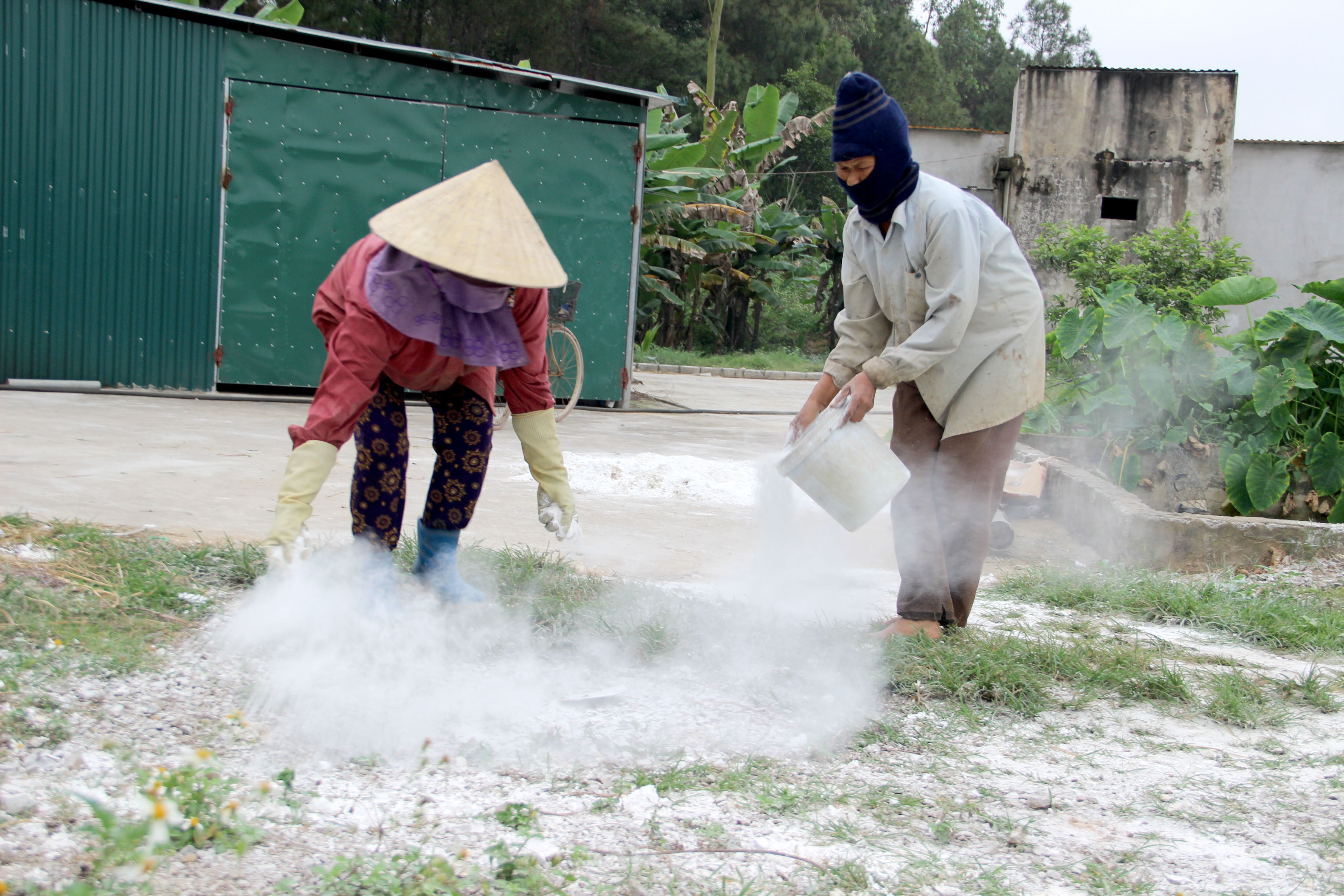 bna_người chăn nuôi  tăng cường rắc vôi bột tại trang trại phòng dịch _ảnh Quang An.jpg
