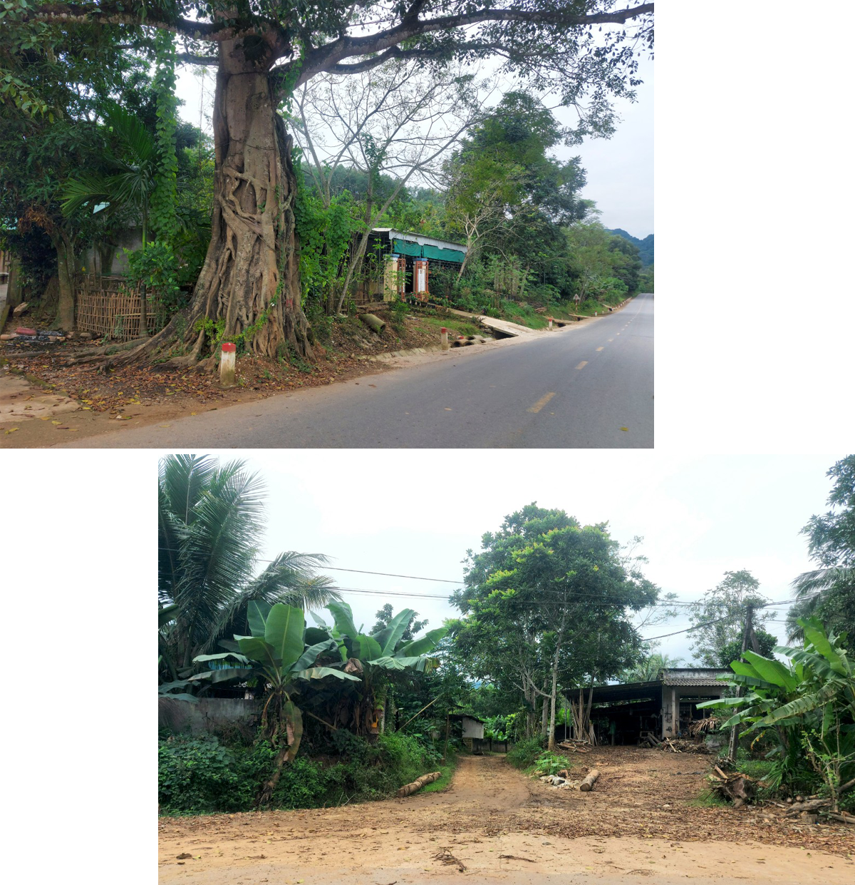 Bản Poom Lầu, xã Châu Bình (Quỳ Châu).