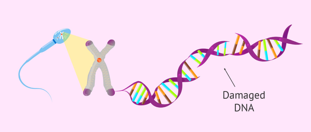 hút thuốc phá hủy DNA là vật liệu di truyền trong tinh trùng sẽ truyền cho em bé..jpg