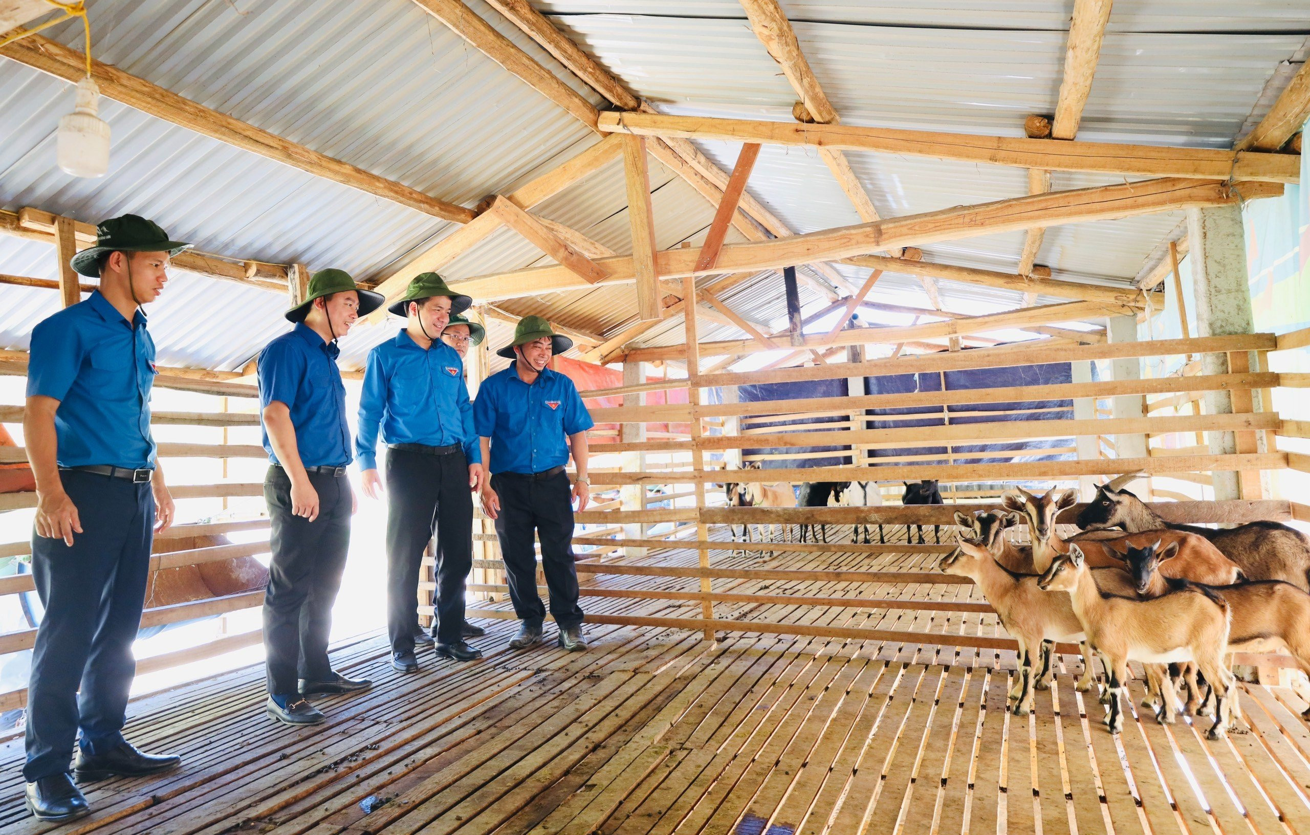 BNA_Bí thư Trung ương Đoàn Ngô Văn Cương thăm mô hình chăn nuôi tại Tổng đội TNXP 9. Ảnh Tiến Đông.jpg
