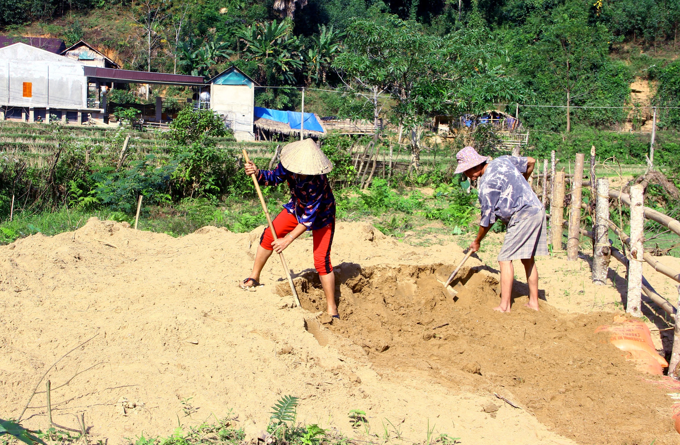 bna-gia-dinh-anh-le-van-bao-xa-chau-hanh-dao-het-lop-cat-de-lay-ruong-san-xuat-vu-xuan-anh-quang-an-4343.jpg