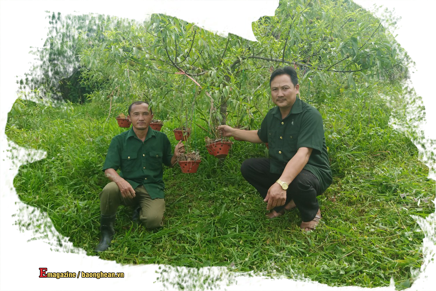 Bí thư Già Tồng Thù (trái) giới thiệu vườn đào, lan của gia đình. Ảnh tư liệu: Trần Đức