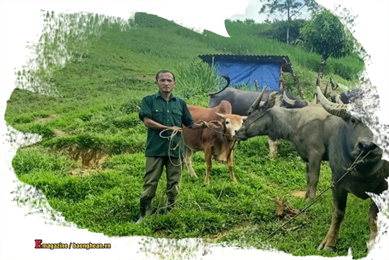 Bí thư Chi bộ bản Ka Dưới Già Tồng Thù còn là điển hình phát triển kinh tế ở Na Ngoi. Ảnh: Trần Đức