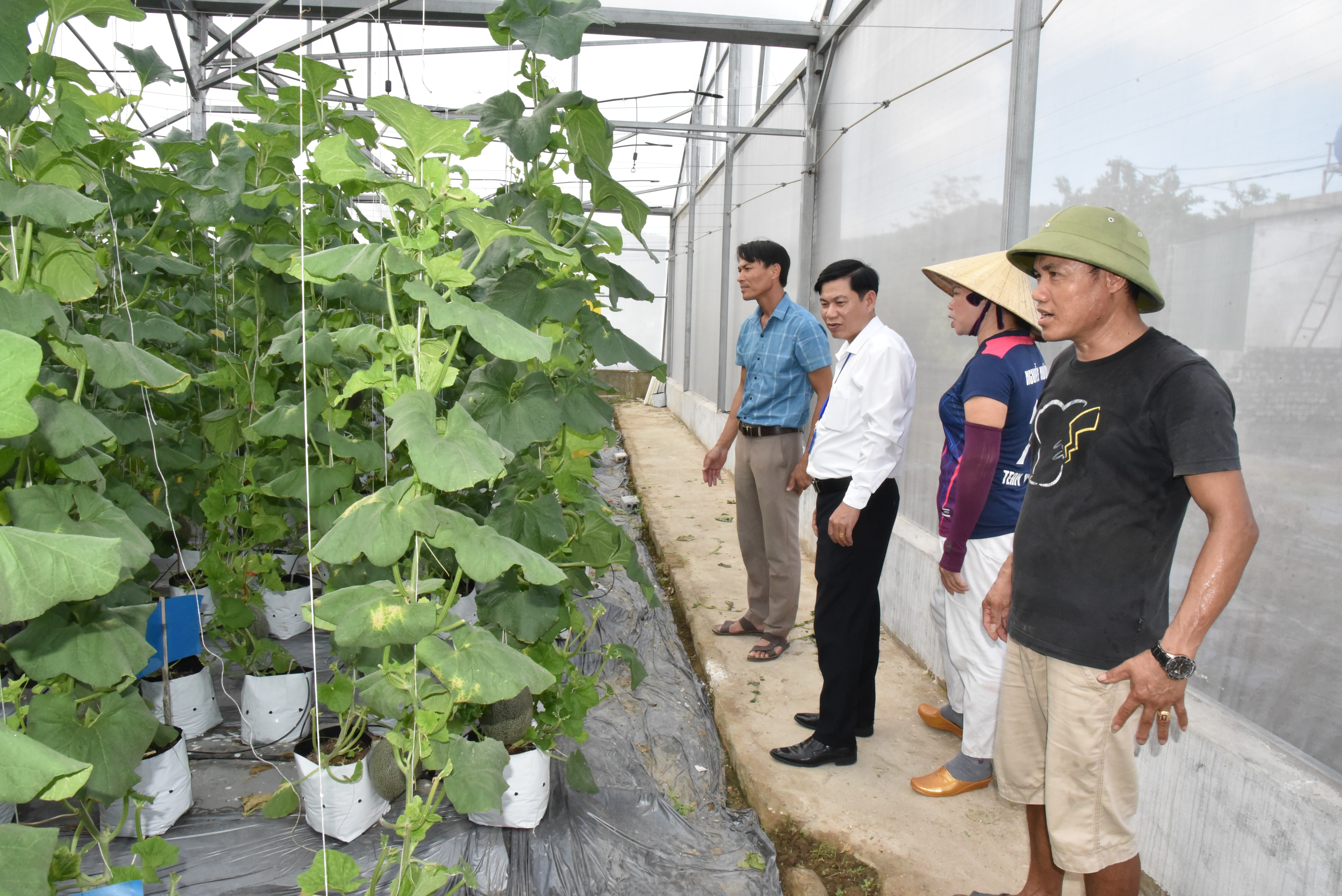 Cán bộ xóm Bắc Sơn 2 và xã Nghi Quang (Nghi Lộc) thăm mô hình phát triển kinh tế của người dân. Ảnh: K.L