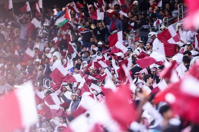 qatar-fans-29-jan-2024-2-8832-1545.jpg