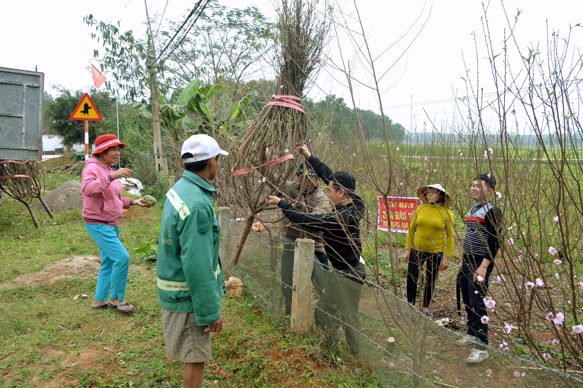 bna-dao-phai-1-7500.jpg