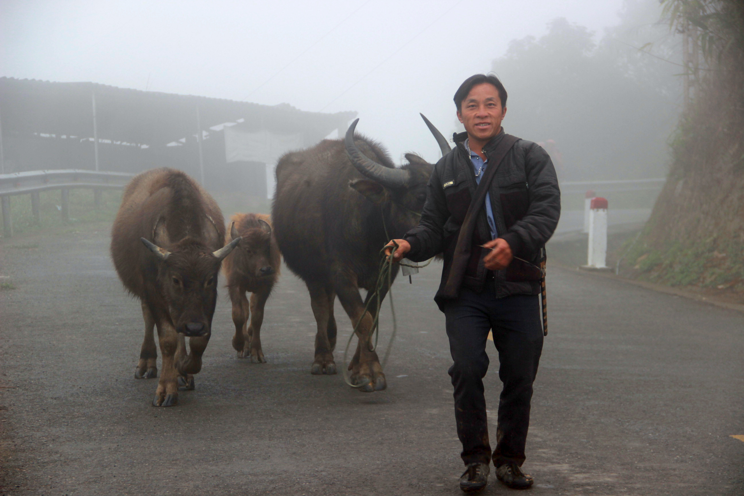 bna-nguoi-dan-ky-son-dua-trau-bo-ve-chuong-khong-tha-rong-trong-ngay-ret-anh-qan-503.jpg