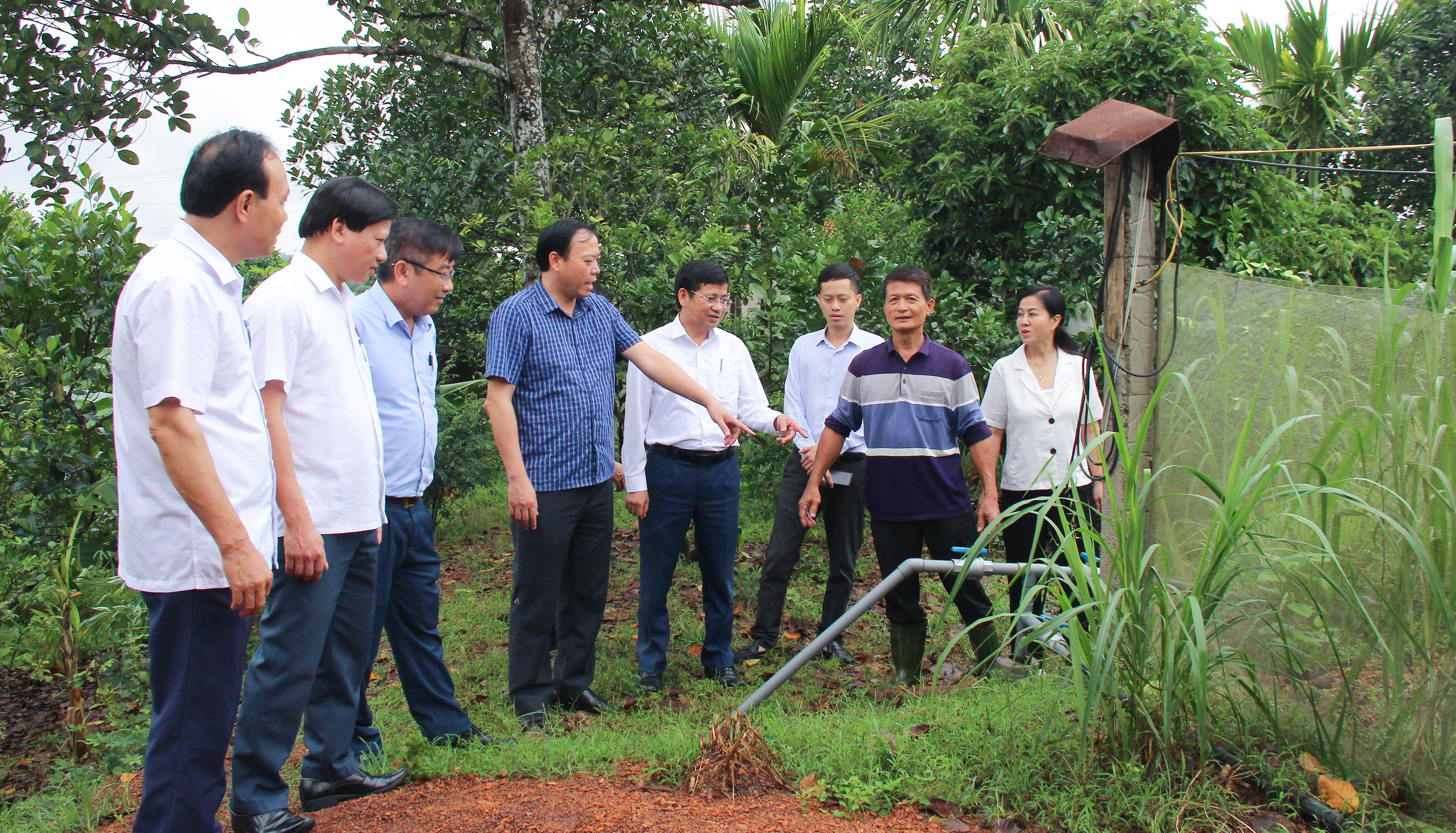 bna-hdnd-tinh-giam-sat-viec-trien-khai-dua-chinh-sach-ho-tro-phat-trien-nong-nghiep-vao-cuoc-song-o-huyen-nam-dan-anh-mai-hoa-1797.jpg