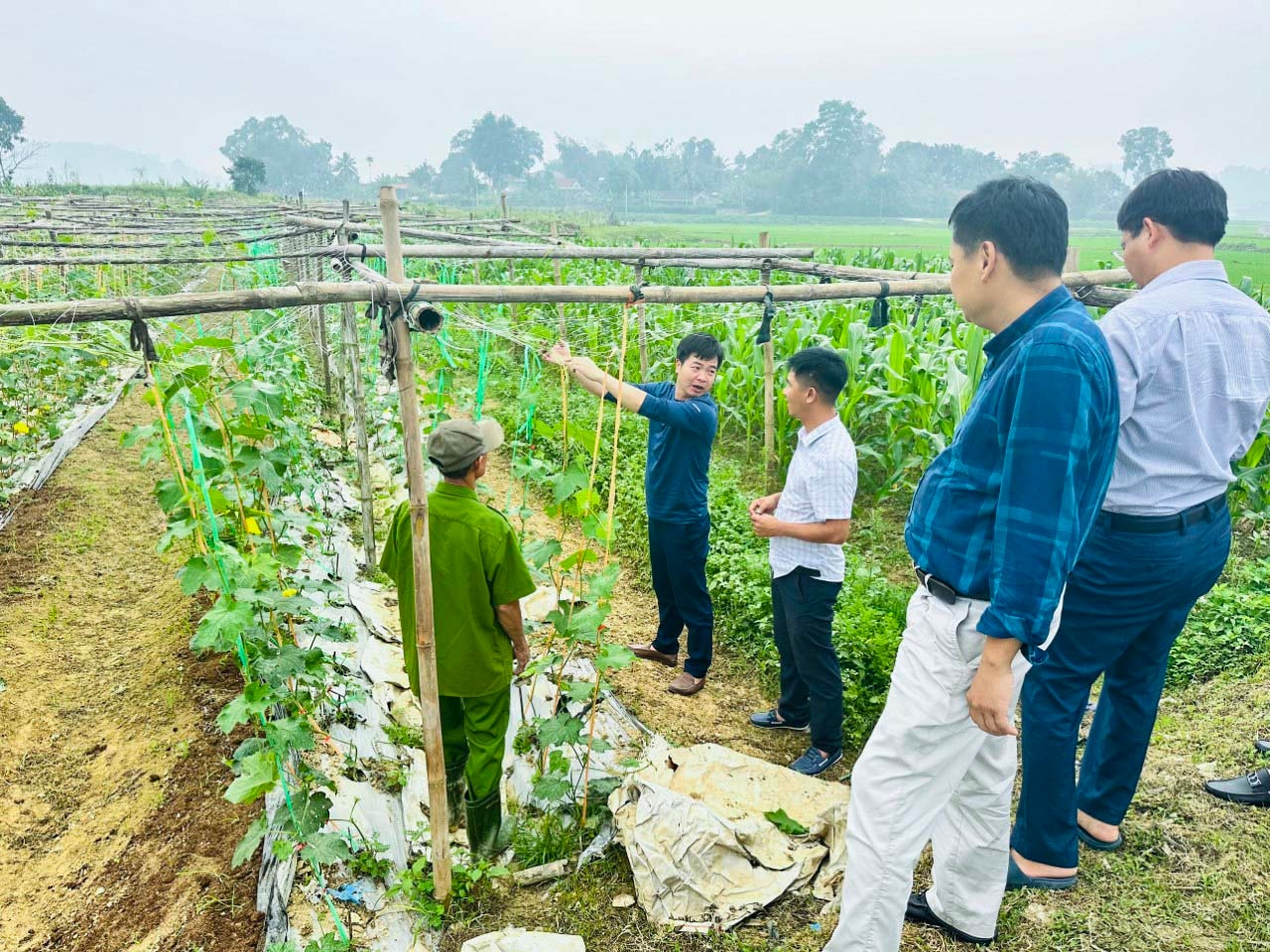 bna-huong-dan-2821.jpg