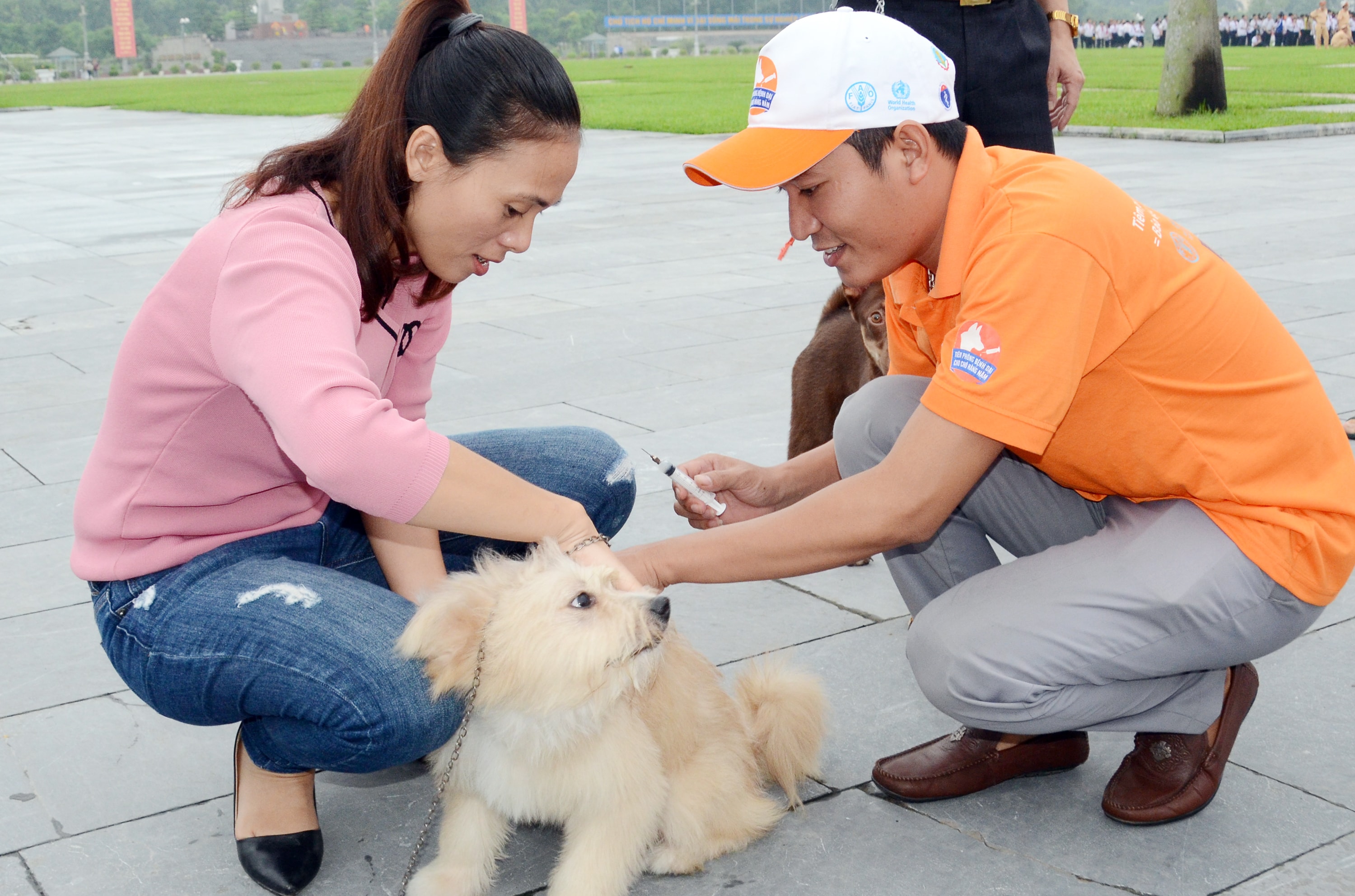 bna_Tiêm phòng cho chó, mèo là cách thức hiệu quả nhất để phòng chống bệnh dại.JPG