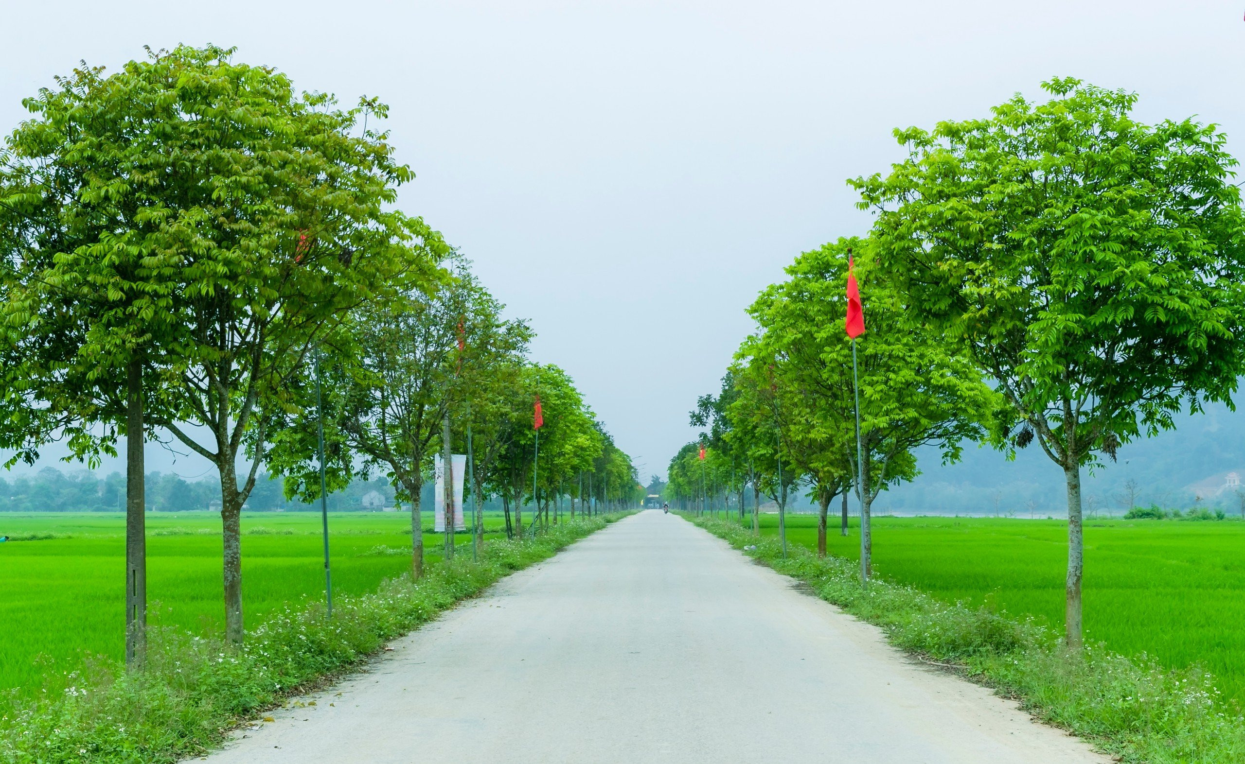 Tuyến đường Môn Sơn - Tân Sơn (1).jpg
