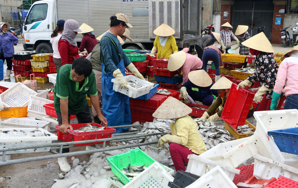bna_ ngư dân đón mua thủy sản sau đánh bắt tại cảng Lạch Quèn Quỳnh Lưu.jpg