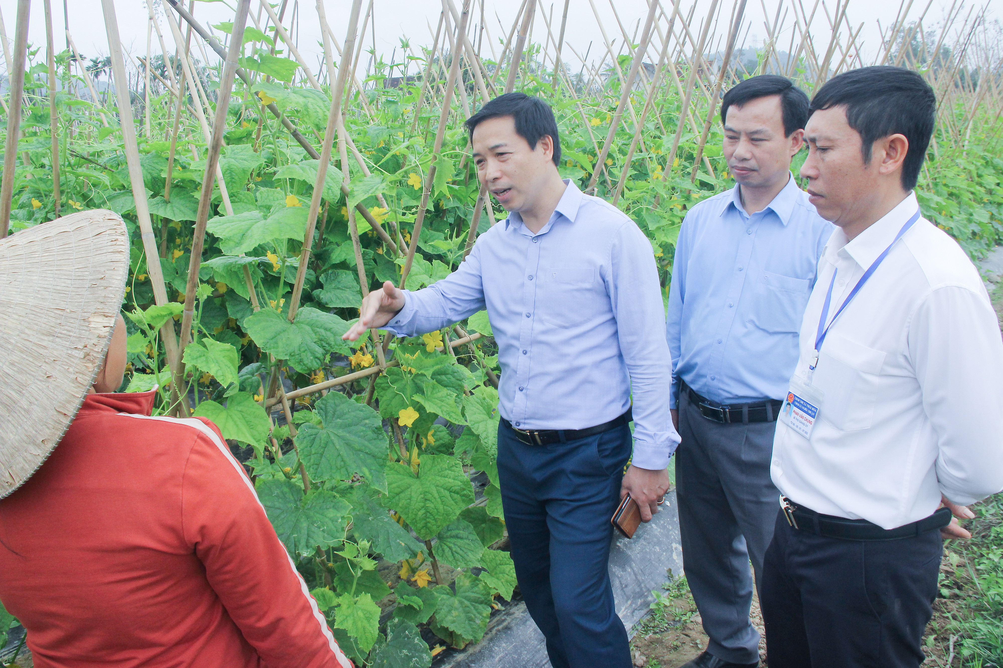 bna_ Lãnh đạo thị xã Thái Hoà tìm hiểu mô hình sản xuất nông nghiệp hàng hoá tại xã Nghĩa Thuận.jpeg