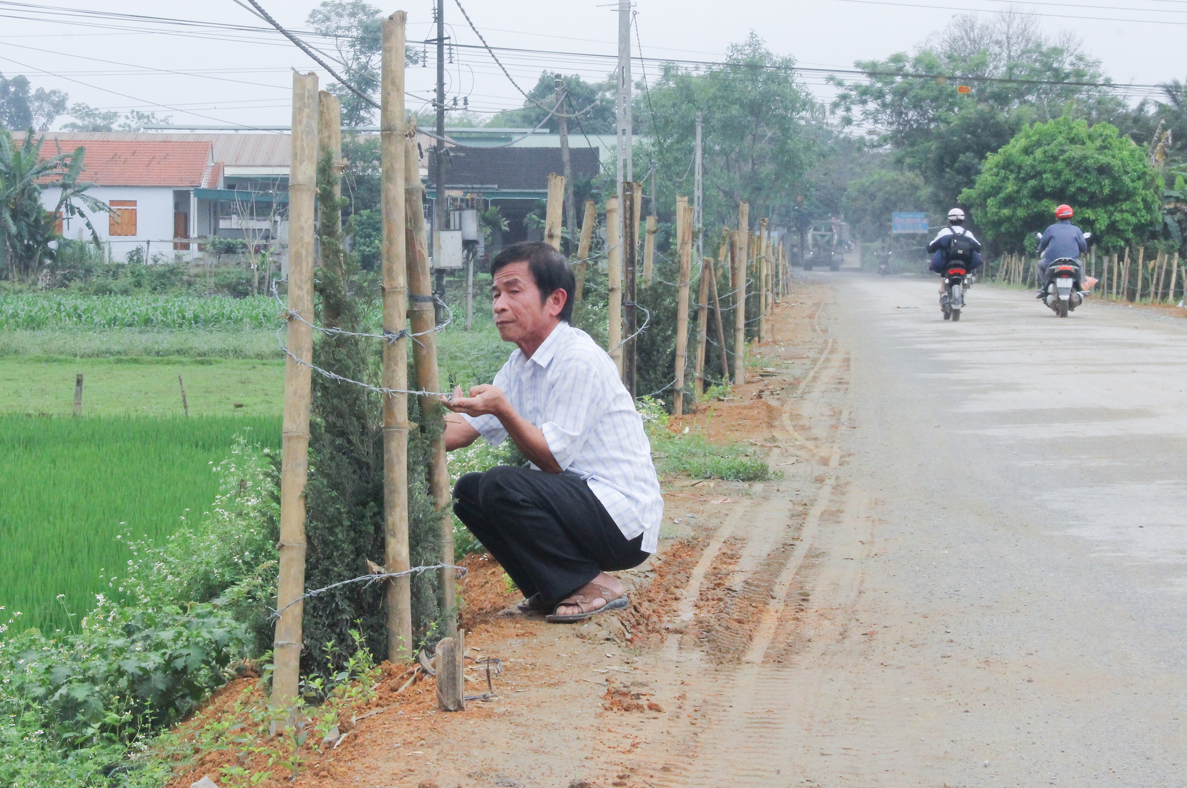 bna_ MHNgười dân xã Long Sơn trồng cây xanh dọc tuyến đường. Ảnh Mai Hoa.jpg