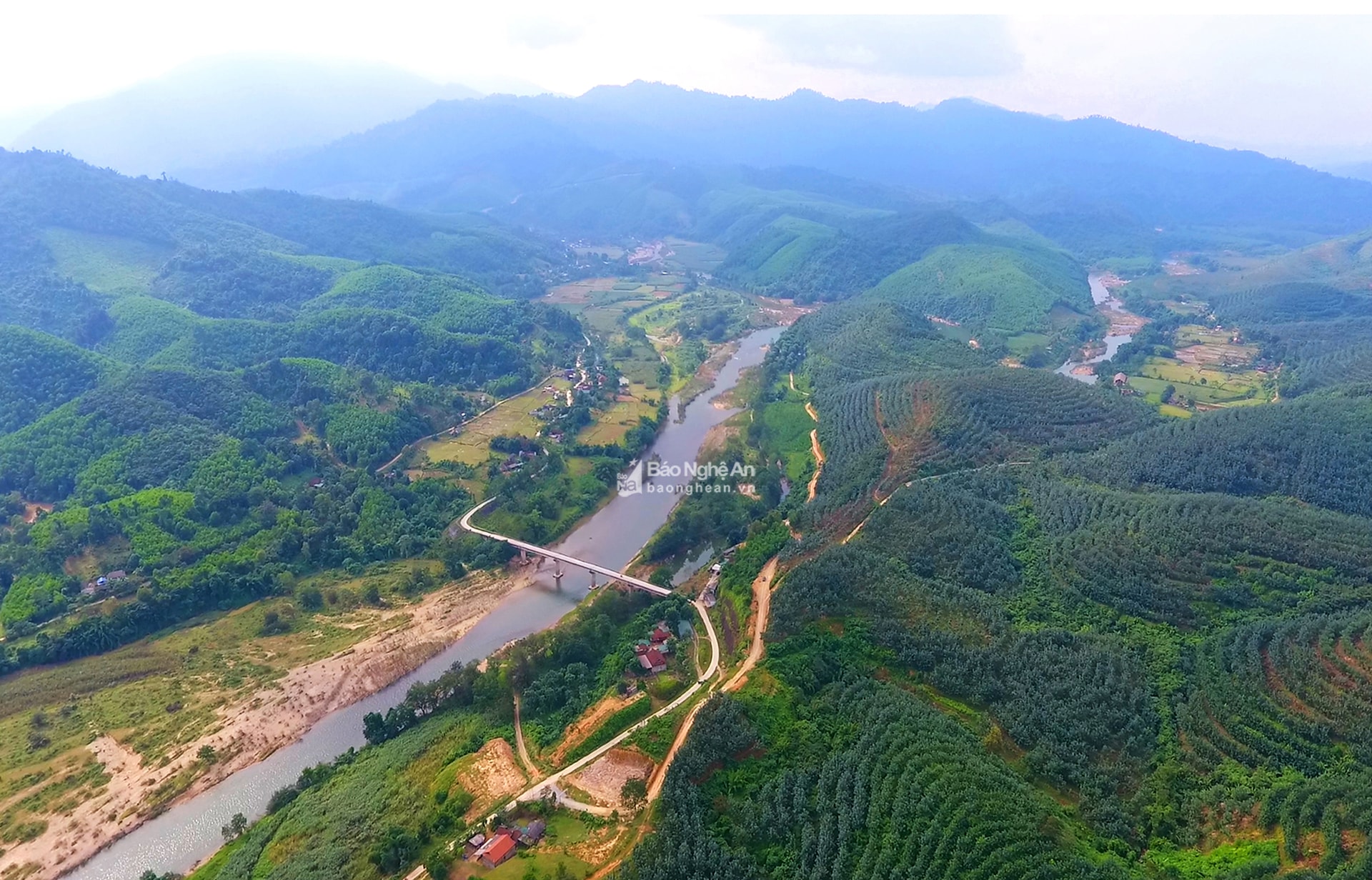 Một vùng rừng ở huyện Anh Sơn. Ảnh: Tư liệu