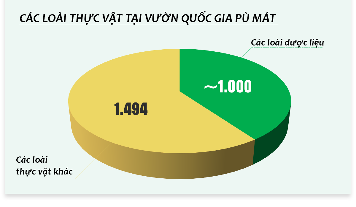 Đồ họa: H.Q