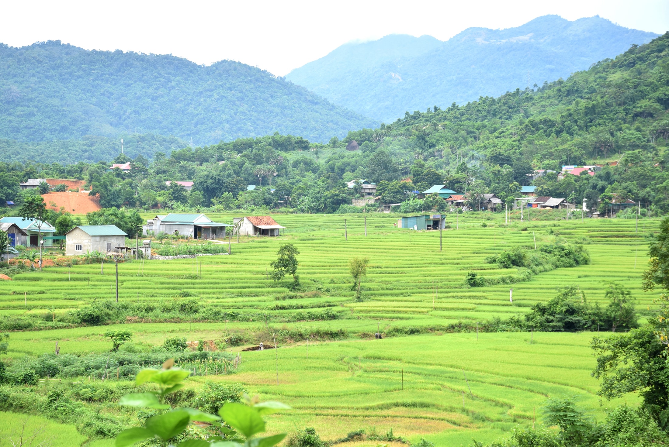 Vùng cao huyện Quế Phong đang ngày càng đổi mới. Ảnh: Xuân Hoàng