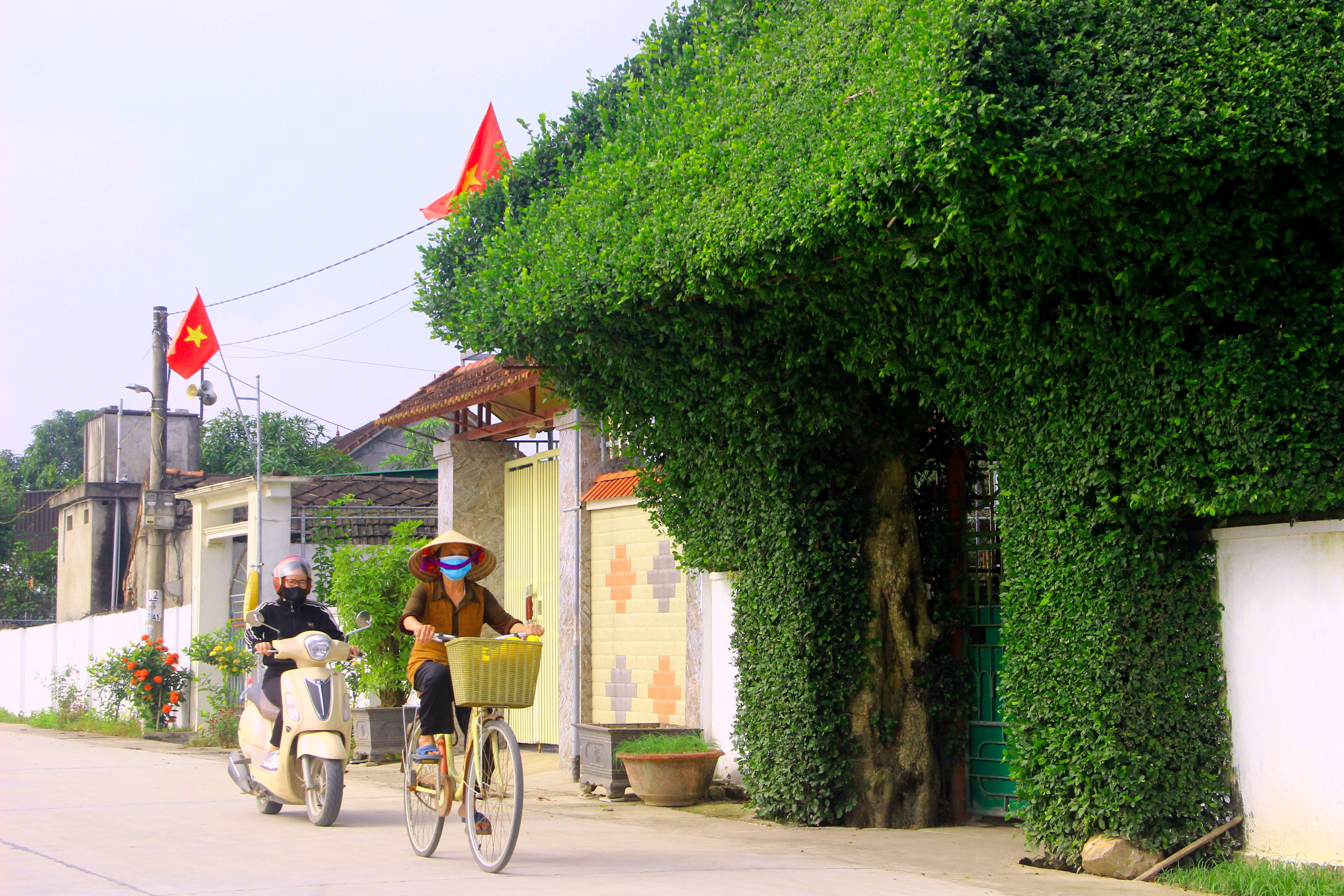 bna_Các tuyến đường tại xã Hưng Tân được đầu tư, nâng cấp, một số ngôi nhà có cổng rợp bóng cây xanh bắt mắt. Ảnh Quang An (1).jpg
