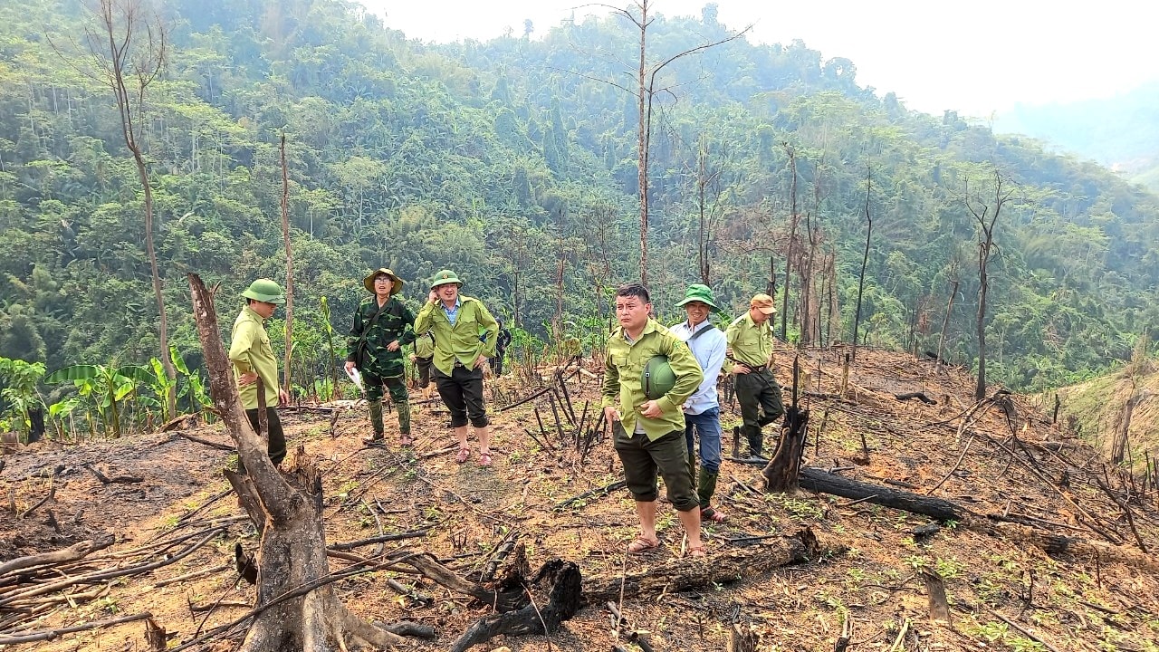 bna_phá rừng. CTV.jpg