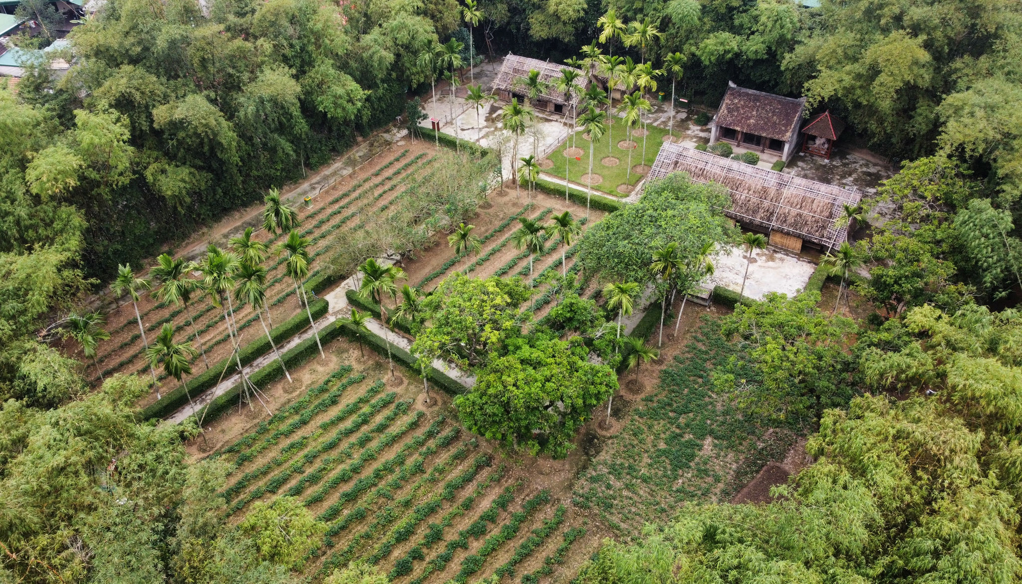 Quê ngoại.jpg