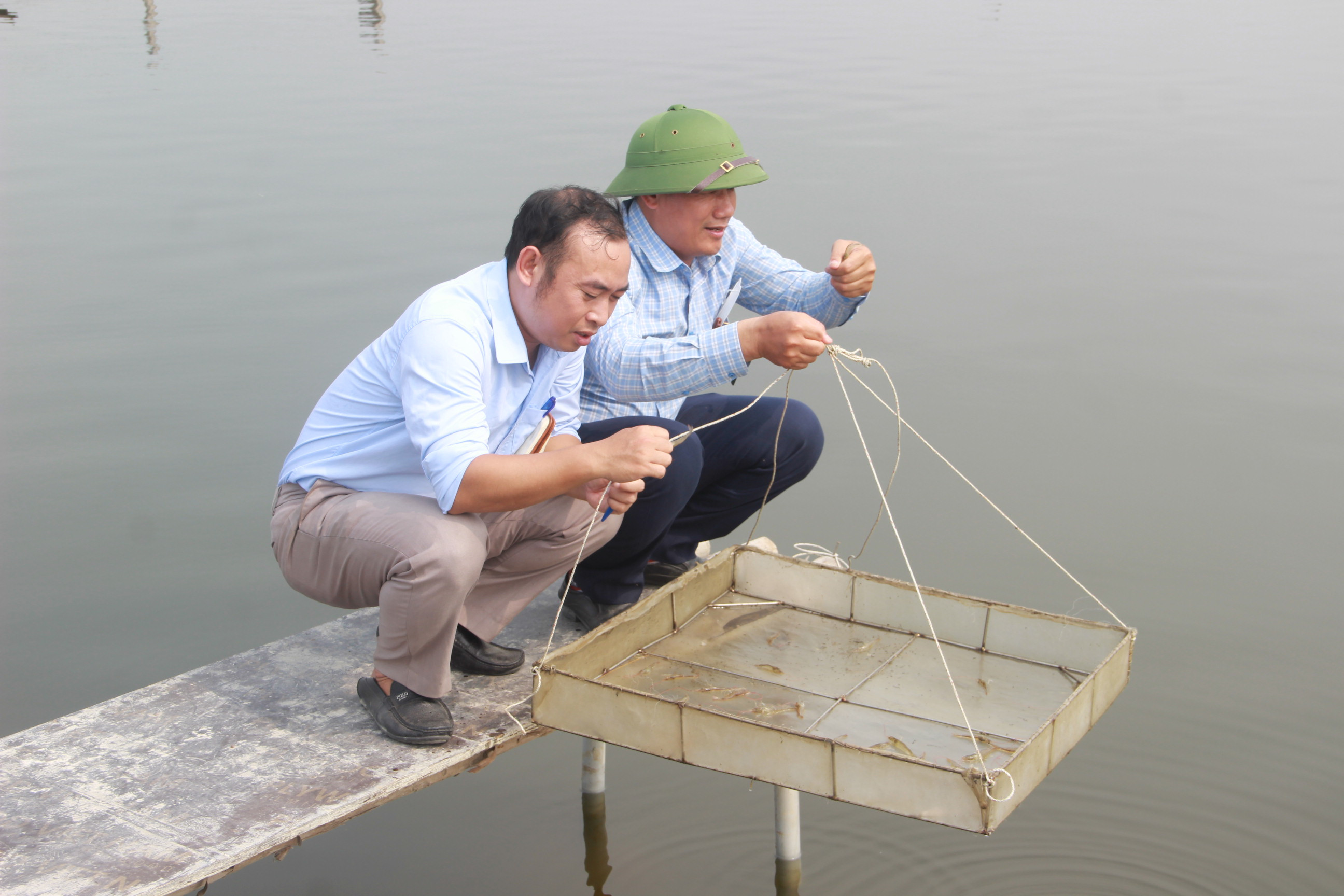 bna_Cơ quan chức năng kiểm tra tôm nuôi tại xã Quỳnh Bảng. Ảnh Quang An.JPG