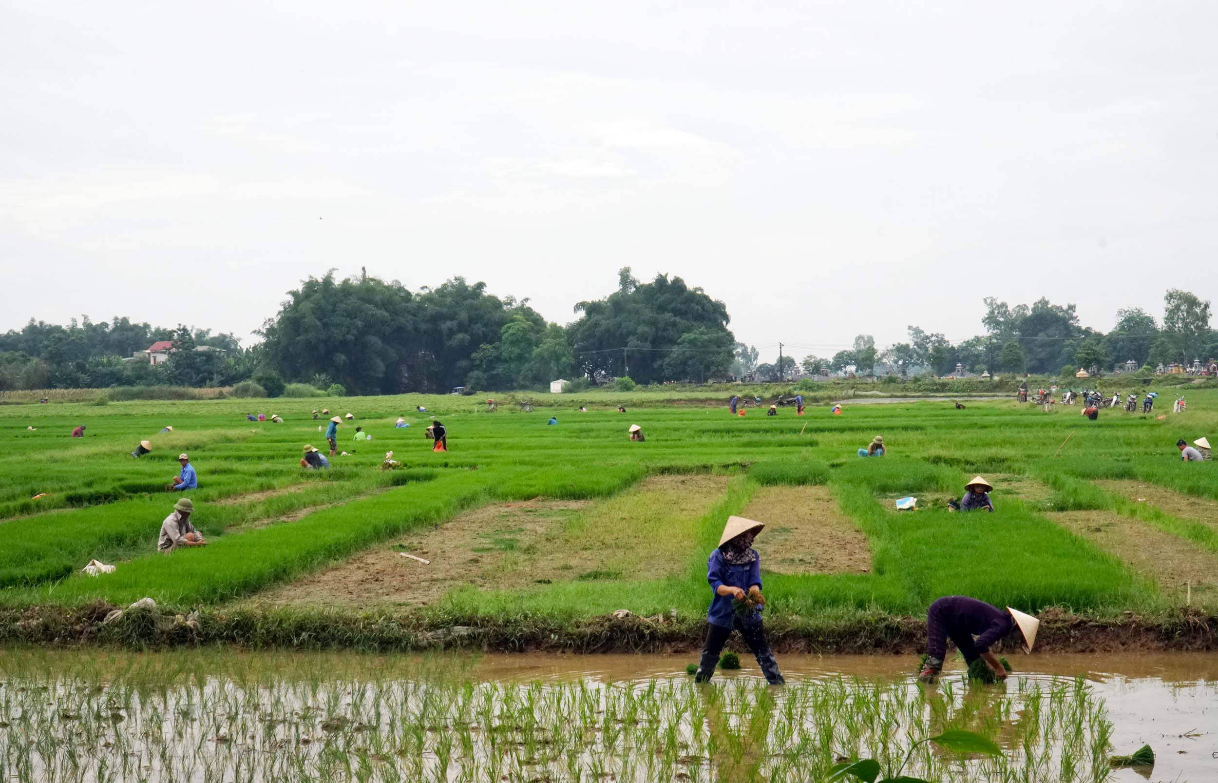 bna_ ảnh toàn. Ảnh- Phú Hương.jpg