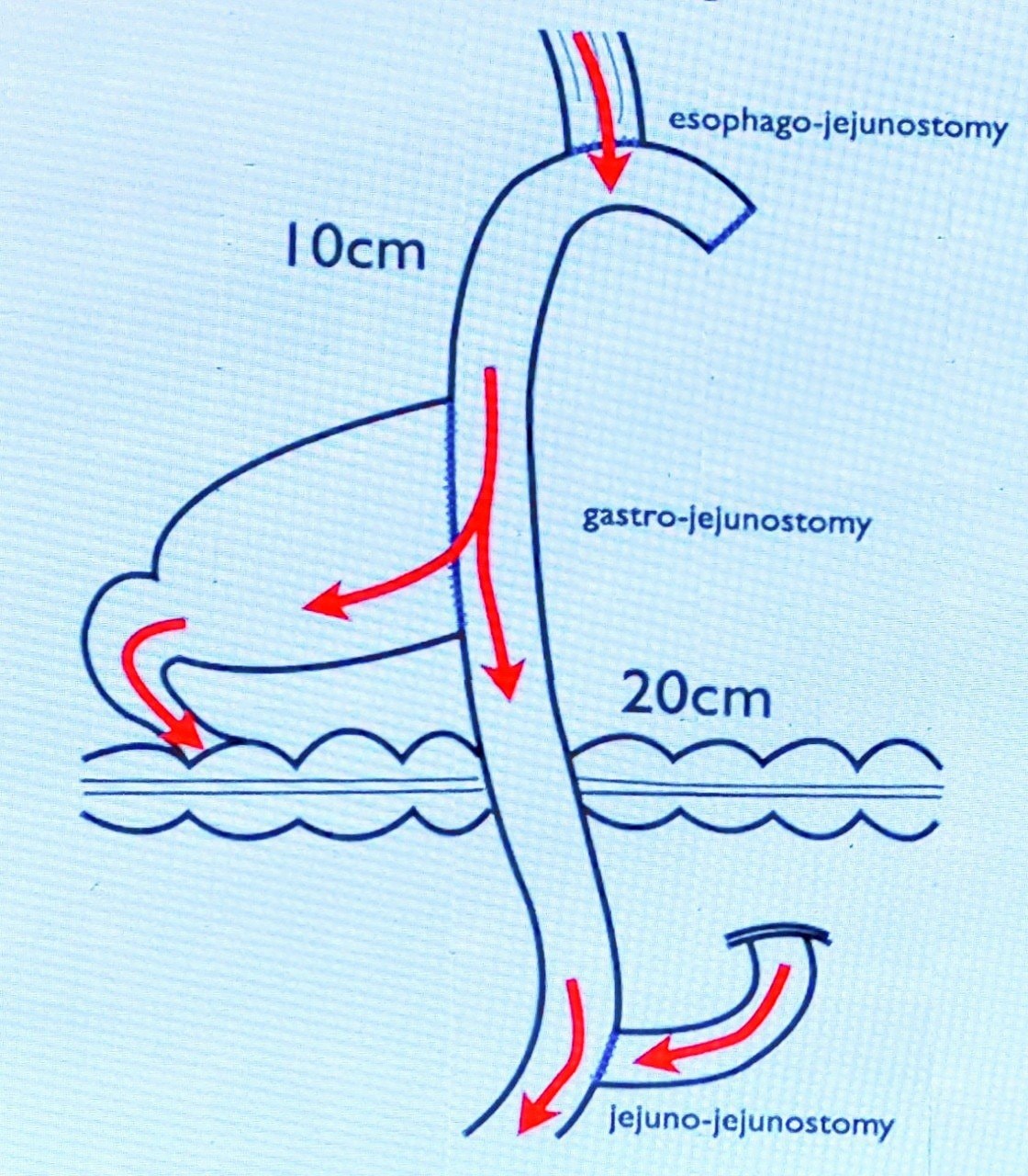 z5479587750903_7fad54064f824cacb8131d1079d5d697.jpg