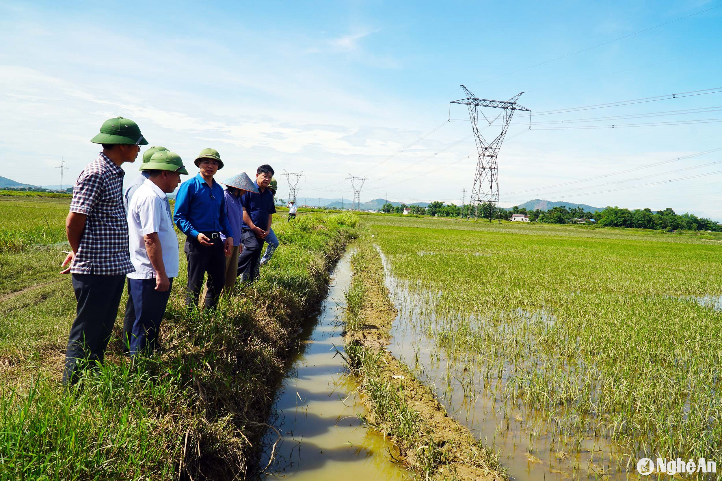 Phỏ Chủ tịch UBND tỉnh kiểm tra tình hình lúa ngâp úng tại xã Khánh Thành. Ảnh: Phú Hương
