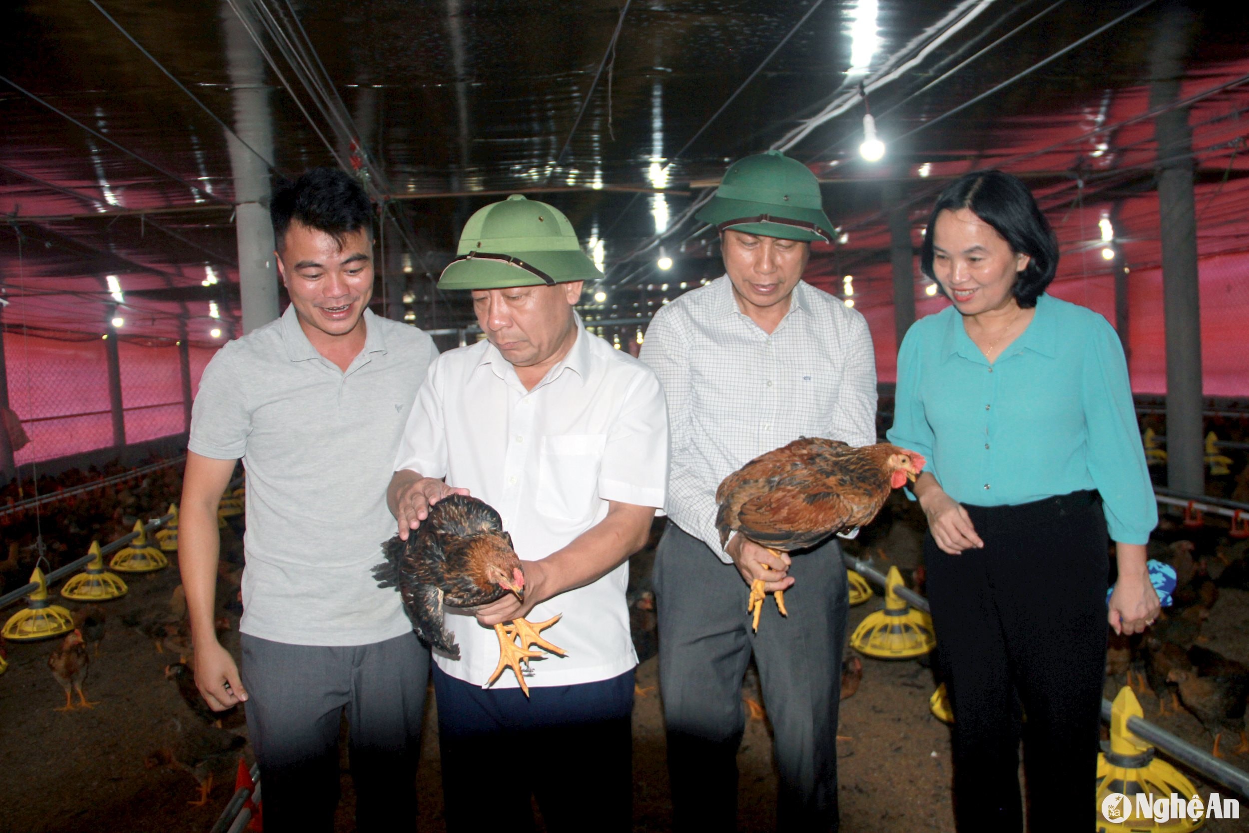 Đoàn công tác tham quan mô hình chăn nuôi gà tại xã Thanh Lâm, huyện Thanh Chương. Ảnh: Quang An