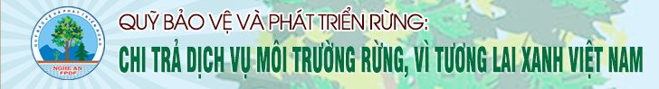 Banner Quỹ bảo vệ phát triển rừng