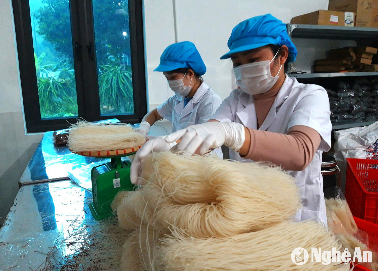 Sản xuất bún ngũ cốc dược liệu tại cơ sở trên địa bàn xã Sơn Thành, huyện Yên Thành. Ảnh: Xuân Hoàng