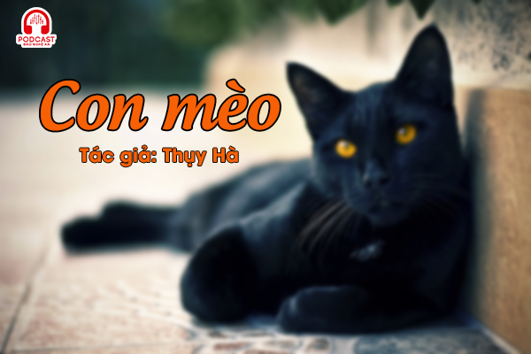 Đọc truyện đêm khuya: Con mèo
