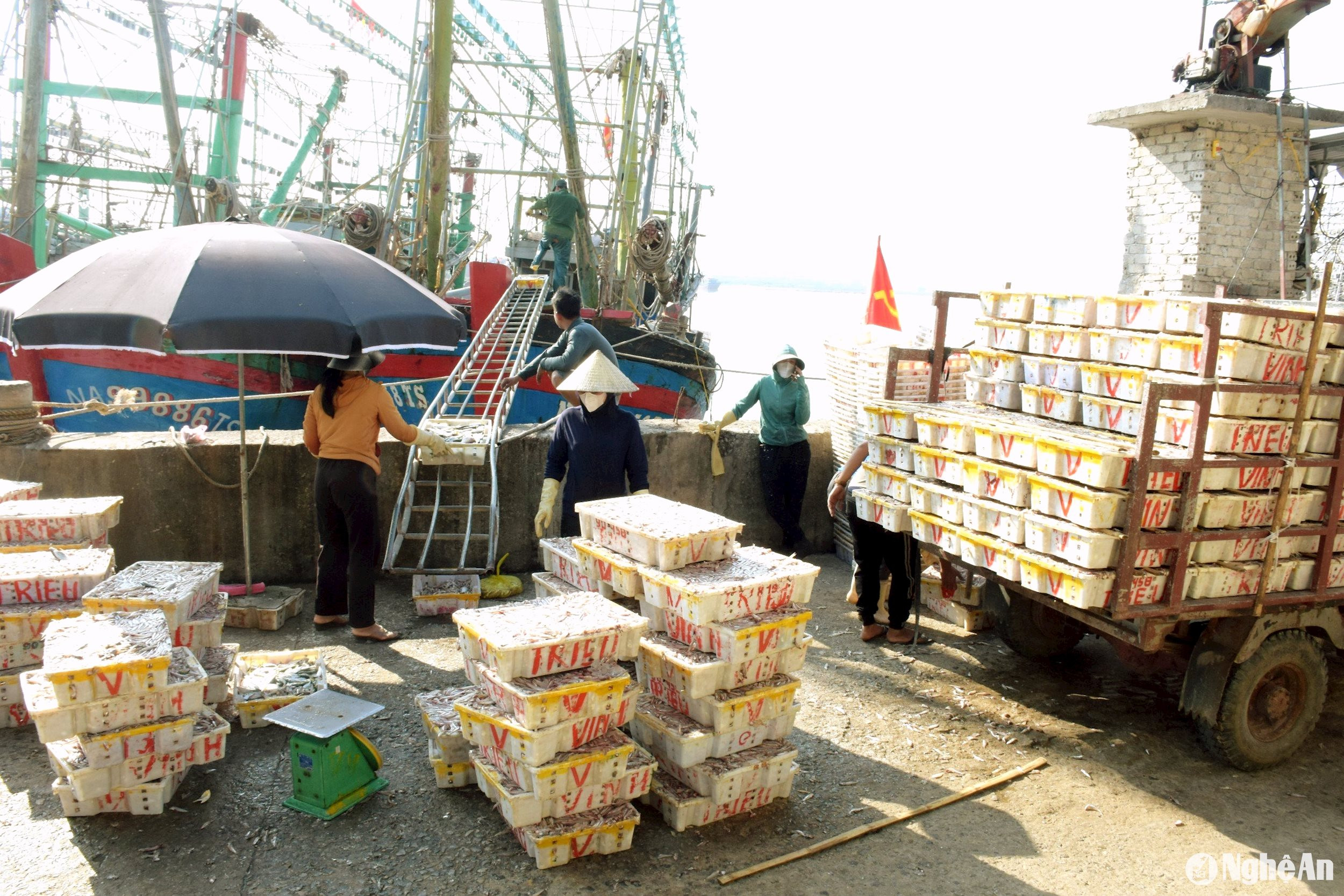Ngư dân thị xã Hoàng Mai bốc dỡ hải sản tại cảng Cá Lạch Cờn. Ảnh Thanh yên