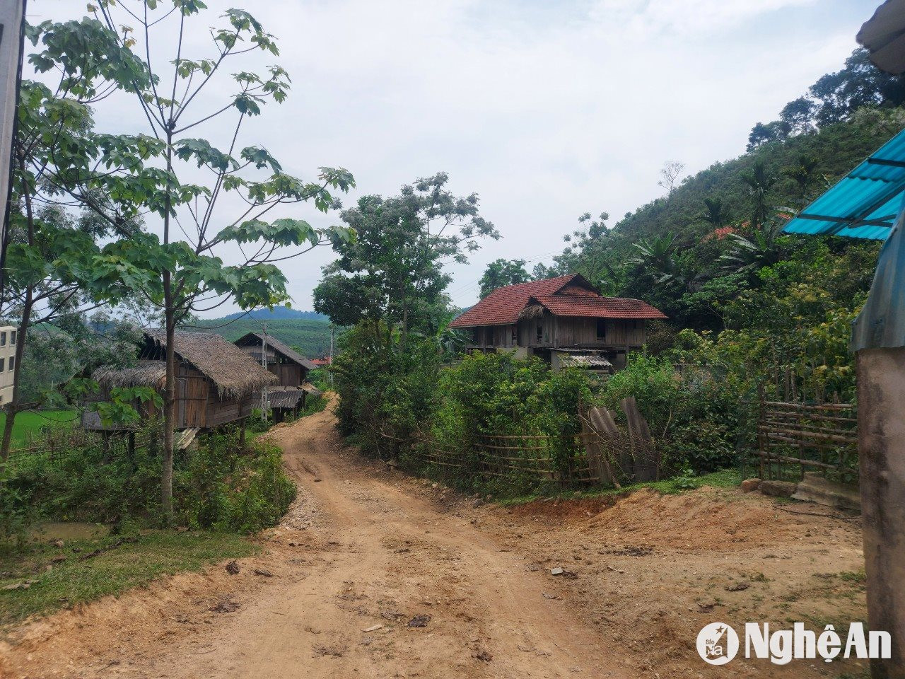 Bản Vật Trên, xã Châu Hoàn và khe Pùng, nơi có tình trạng khai thác trái phép quặng đá thạch anh hồi tháng 2/2024. Ảnh: Nhật Lân