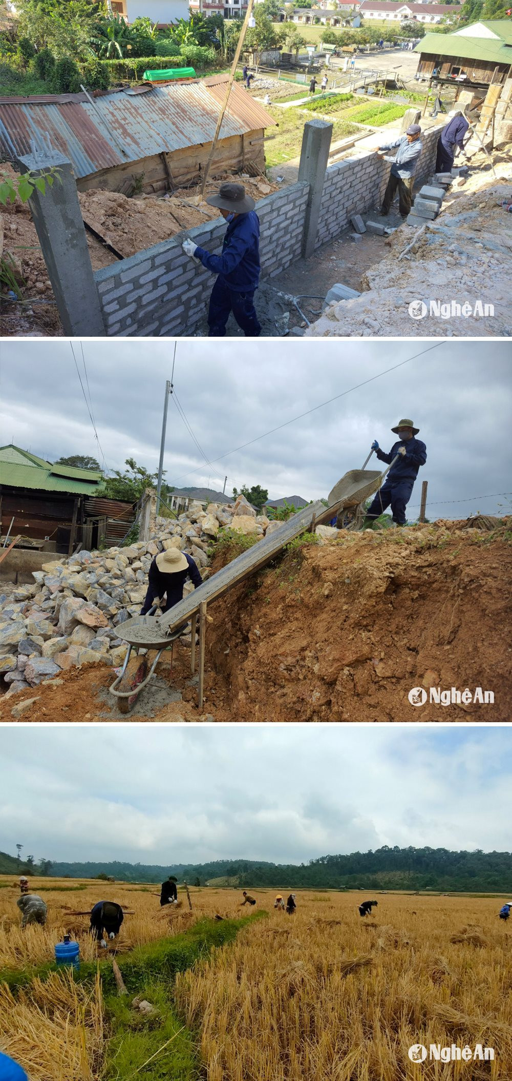 Cán bộ, chiến sĩ Đội Quy tập hỗ trợ người dân nước bạn Lào trong quá trình xây dựng cơ sở hạ tầng và thu hoạch vụ mùa