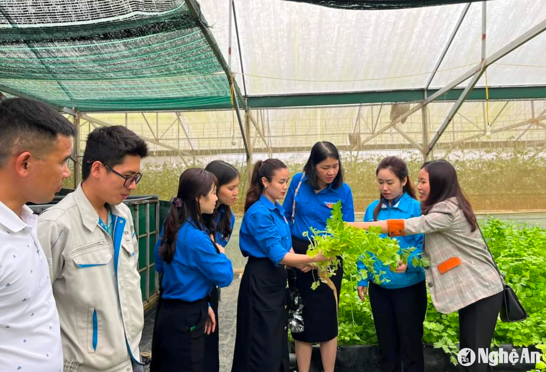 Cán bộ Tỉnh đoàn tham quan mô hình nông nghiệp xanh tại trang trại của đoàn viên xã Hưng Lĩnh Hưng Nguyên ảnh PV