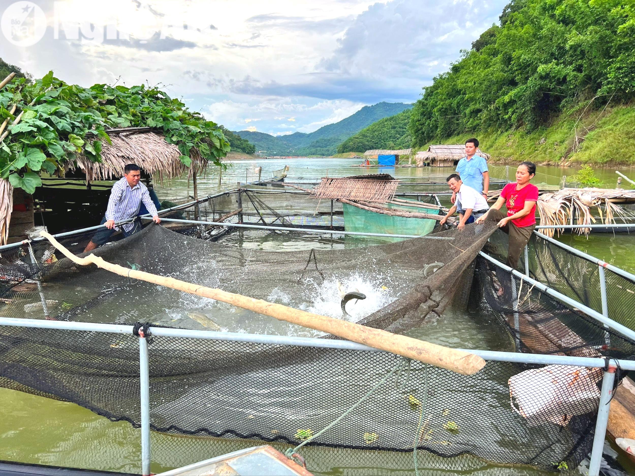 mo-hinh-nuoi-ca-long-cho-thu-nhap-cao-o-xa-thong-thu-que-phong-(1).jpg