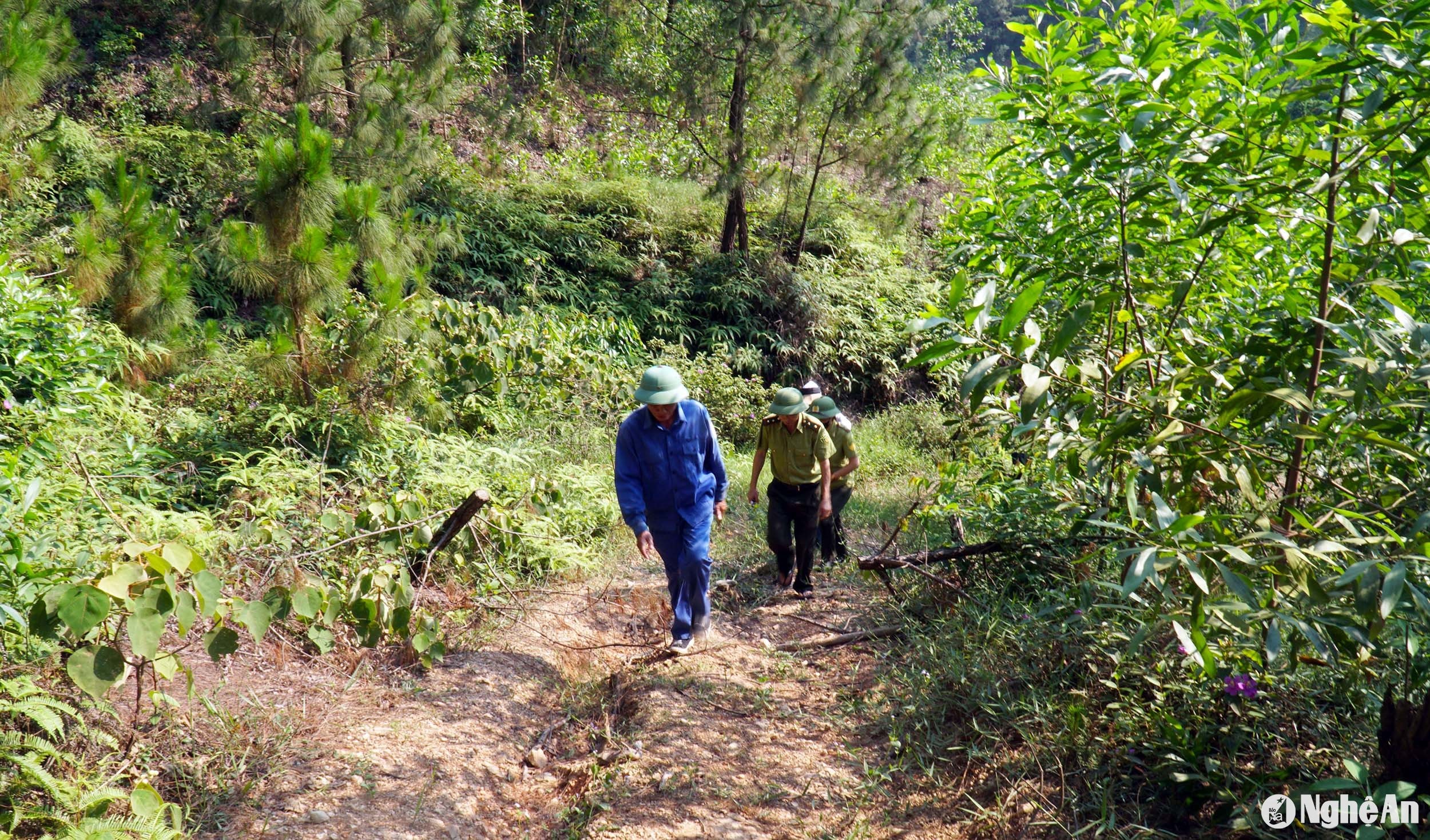  ktra Lăng Thành. Ảnh- Phú Hương