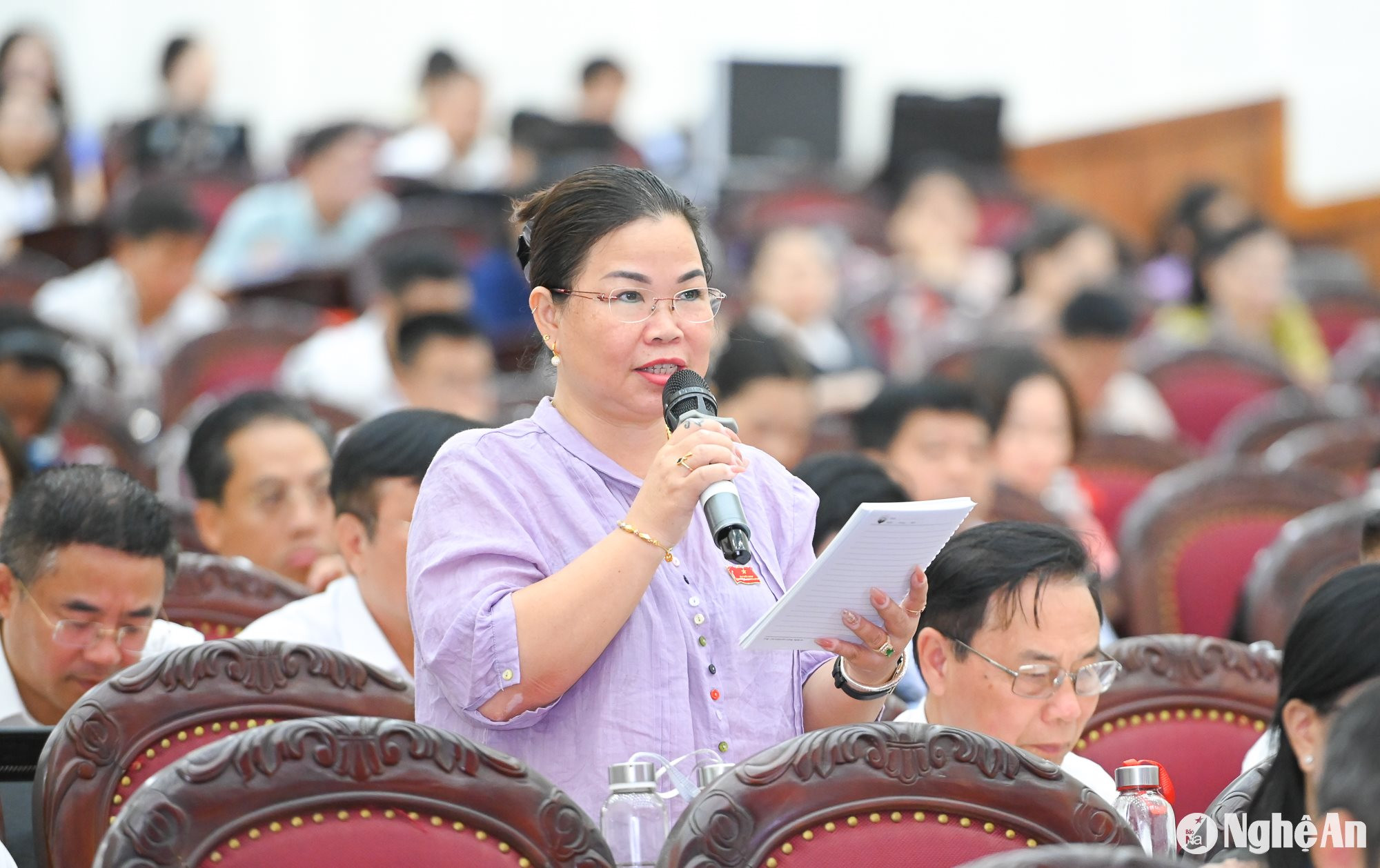 Đại biểu Anh Sơn