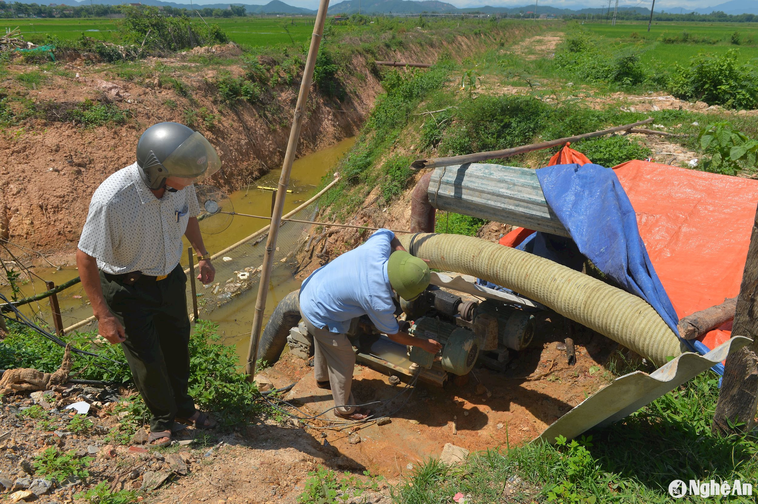 Lắp trạm bơm dã chiến ở xã Thái Sơn, huyện Đô Lương cứu lúa. Ảnh: Văn Trường