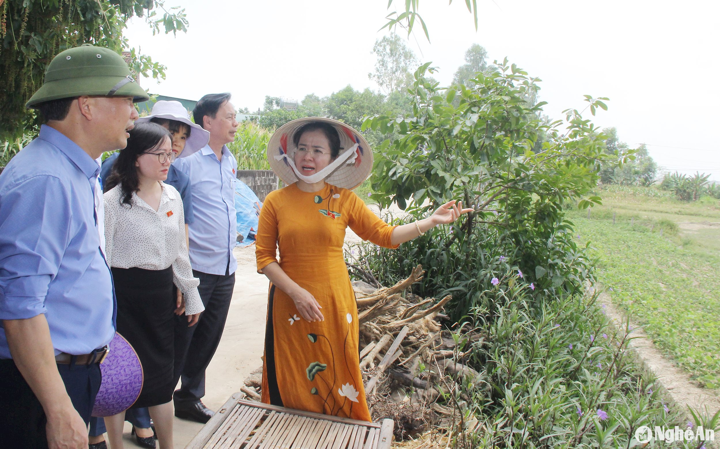 Đồng chí Võ Thị Minh Sinh - Ủy viên BTV Tỉnh ủy, Chủ tịch Ủy ban MTTQ Viêt Nam tỉnh Nghệ An trực tiếp khảo sát thực địa ý kiến, phản ánh của người dân huyện Nghi Lộc. Ảnh: Mai Hoa