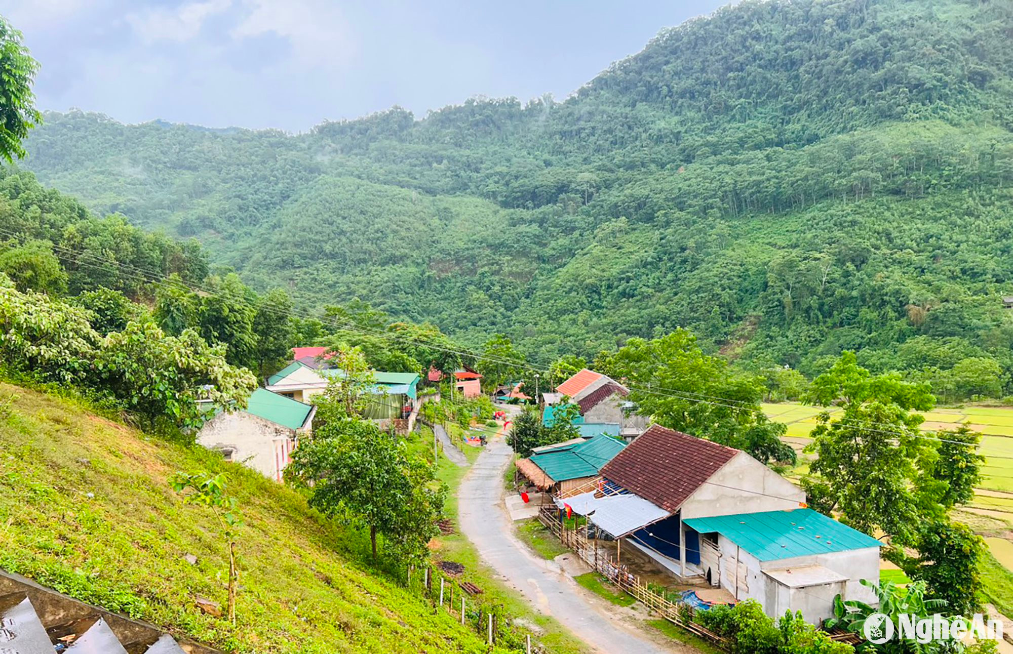 Một góc bản Tùng Hương, xã biên giới Tam Quang. Ảnh KL