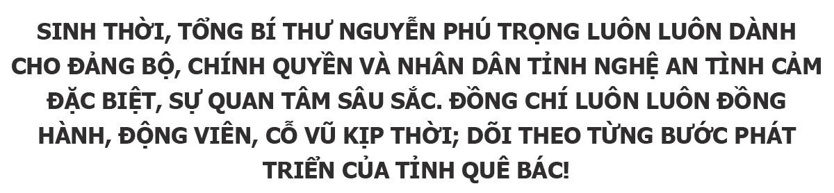 sapo(2).jpg